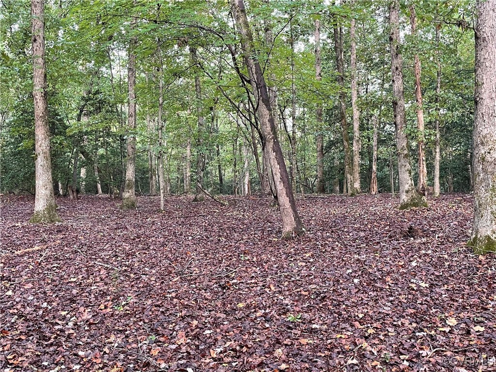 1105 Stewarts Road, Lanexa, Virginia, 23089, United States, ,Land,For Sale,1105 Stewarts Road,1632390