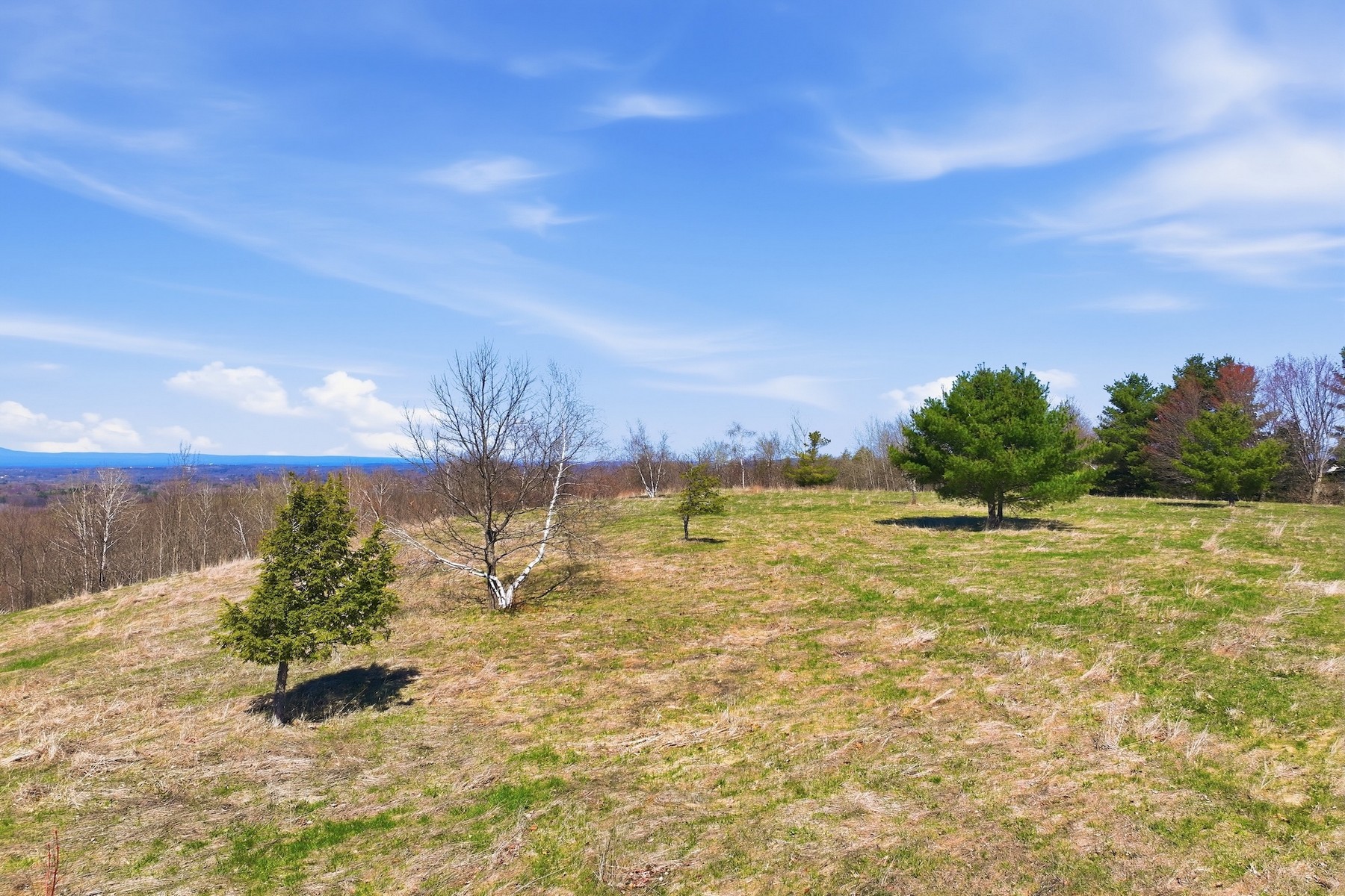  351 Ledgewood Drive - 物件實景