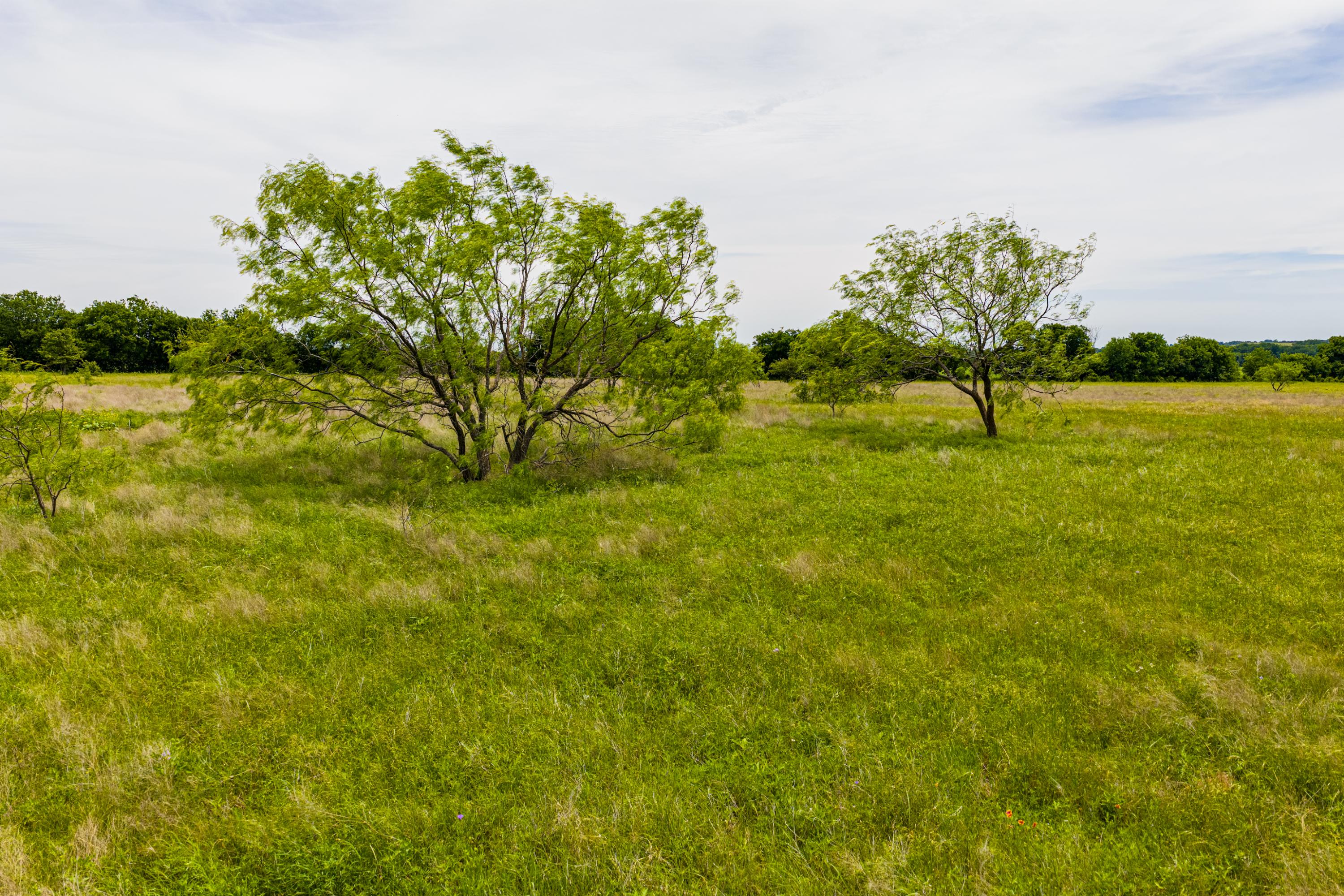  667 Acre Development Property With Two Miles Of Highway Frontage - 物件實景