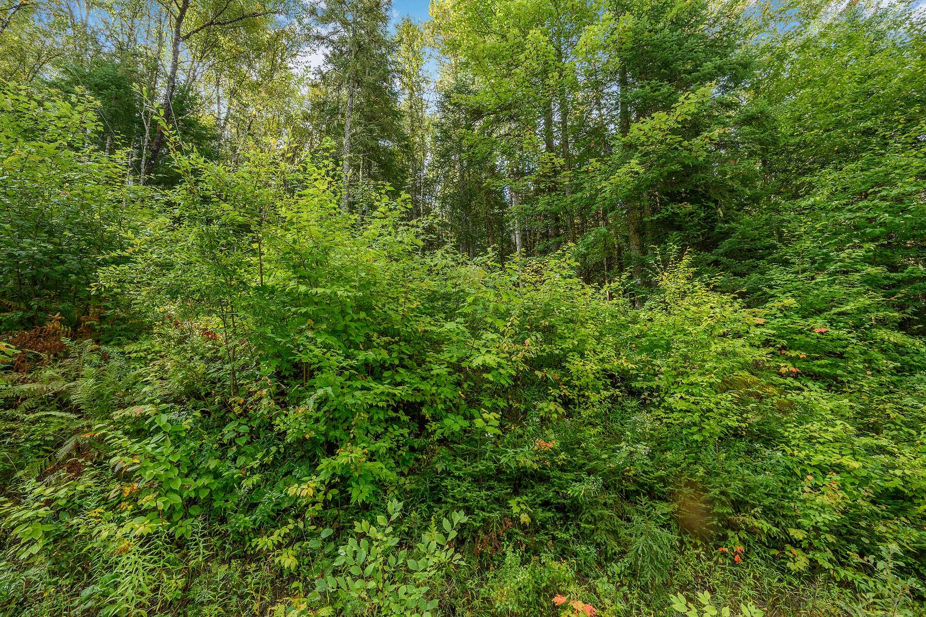  Mont-Tremblant, Laurentides - 物件實景