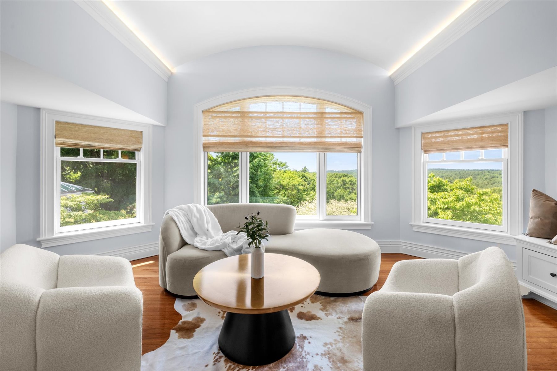  10 Andrea Drive, Hopkinton, MA, 01748 - 物件實景