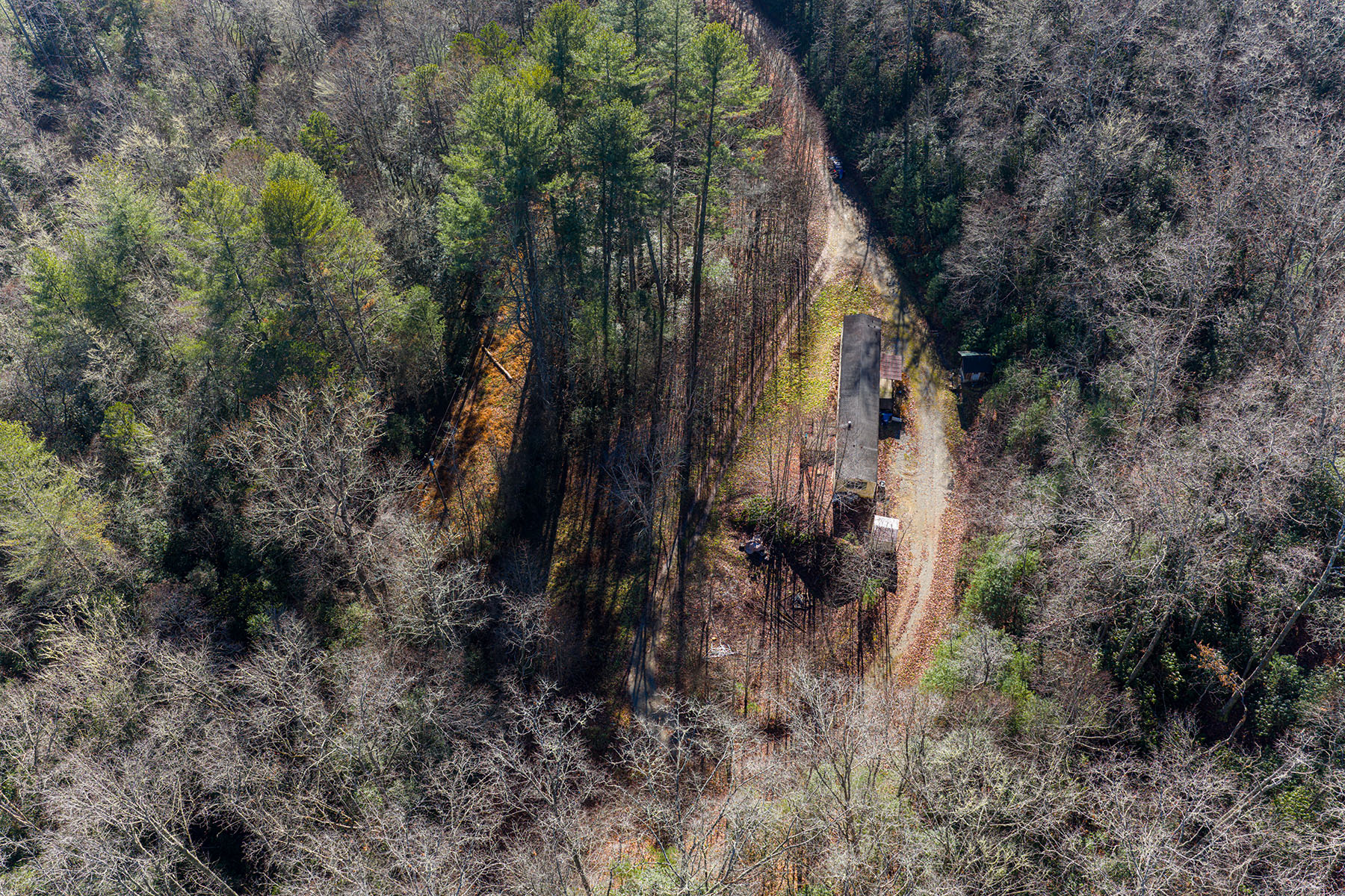  PISGAH FOREST - 物件實景