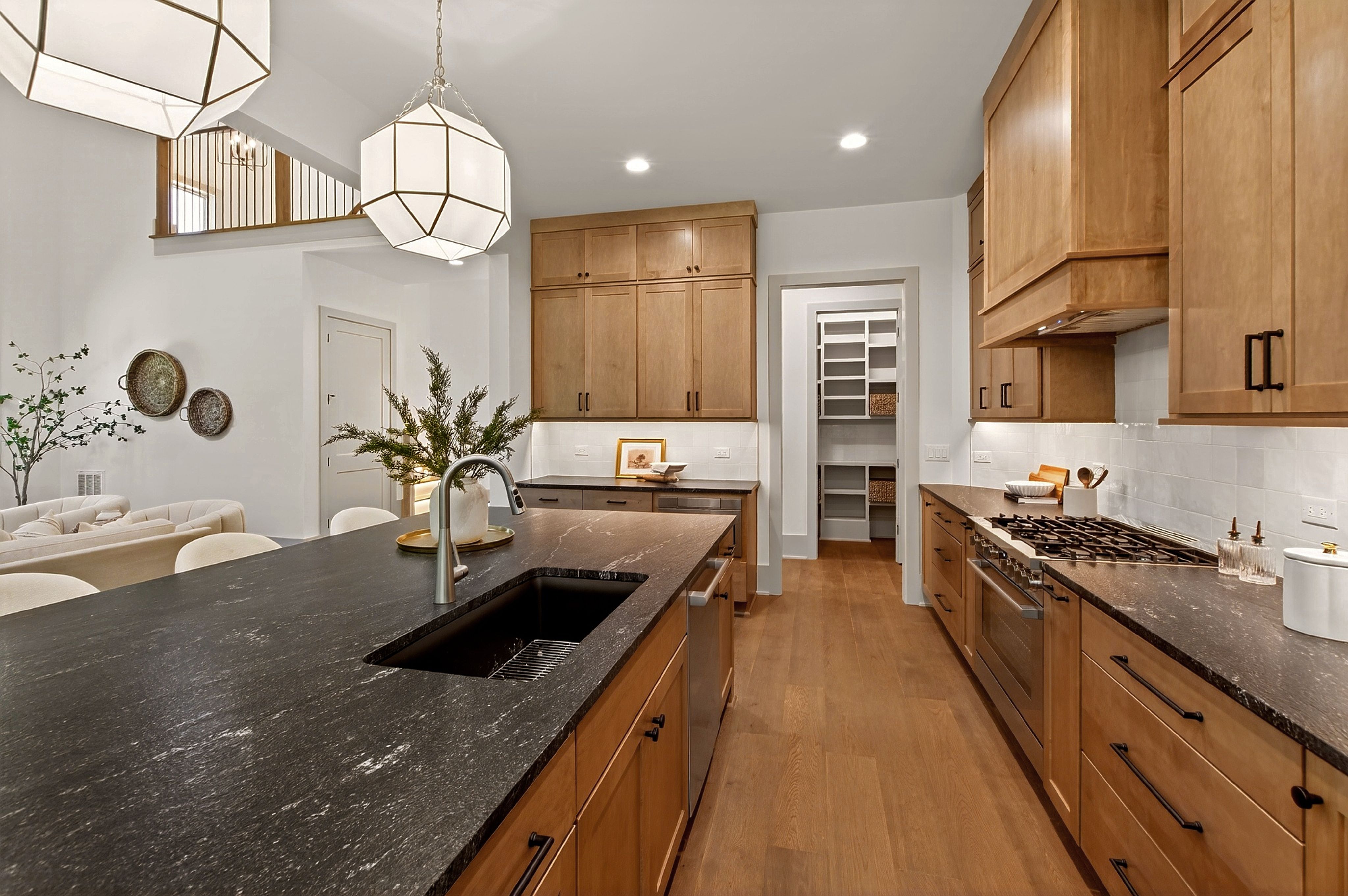  176 Clementine Way, Chapel Hill, NC 27516 - 物件實景