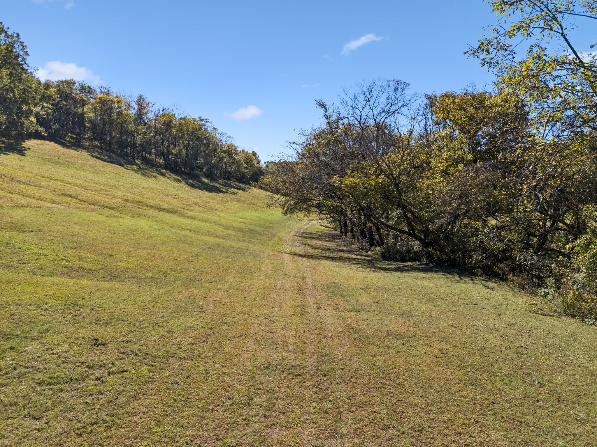  2846 Fuller Hollow Rd, Cornersville, TN, 37047 - 物件實景