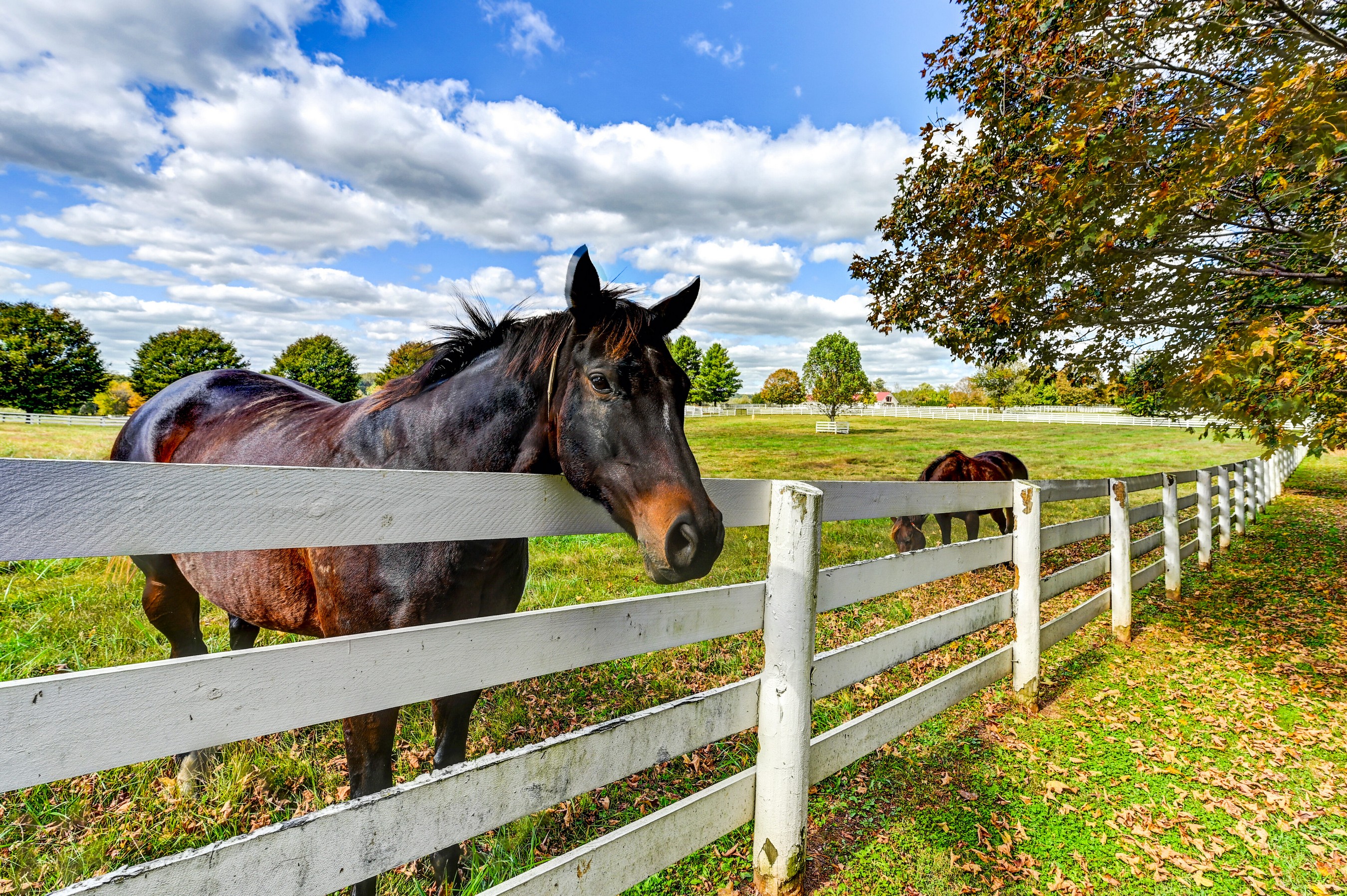  Worthington Valley - 物件實景