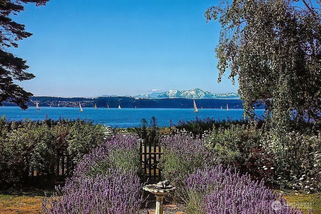 Oak Harbor, Washington, 98277, United States, 3 Bedrooms Bedrooms, ,2 BathroomsBathrooms,Residential,For Sale,1982264