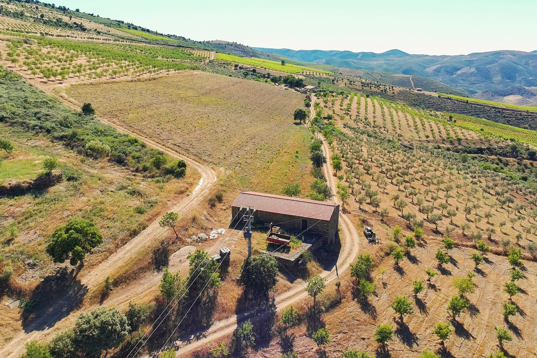  Country Estate for Sale - 物件實景