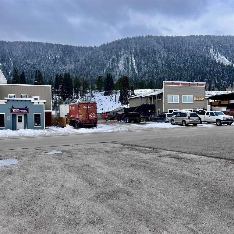 422 Belleview Avenue, Crested Butte, Colorado, 81224, United States, ,Land,For Sale,422 Belleview Avenue,1656706