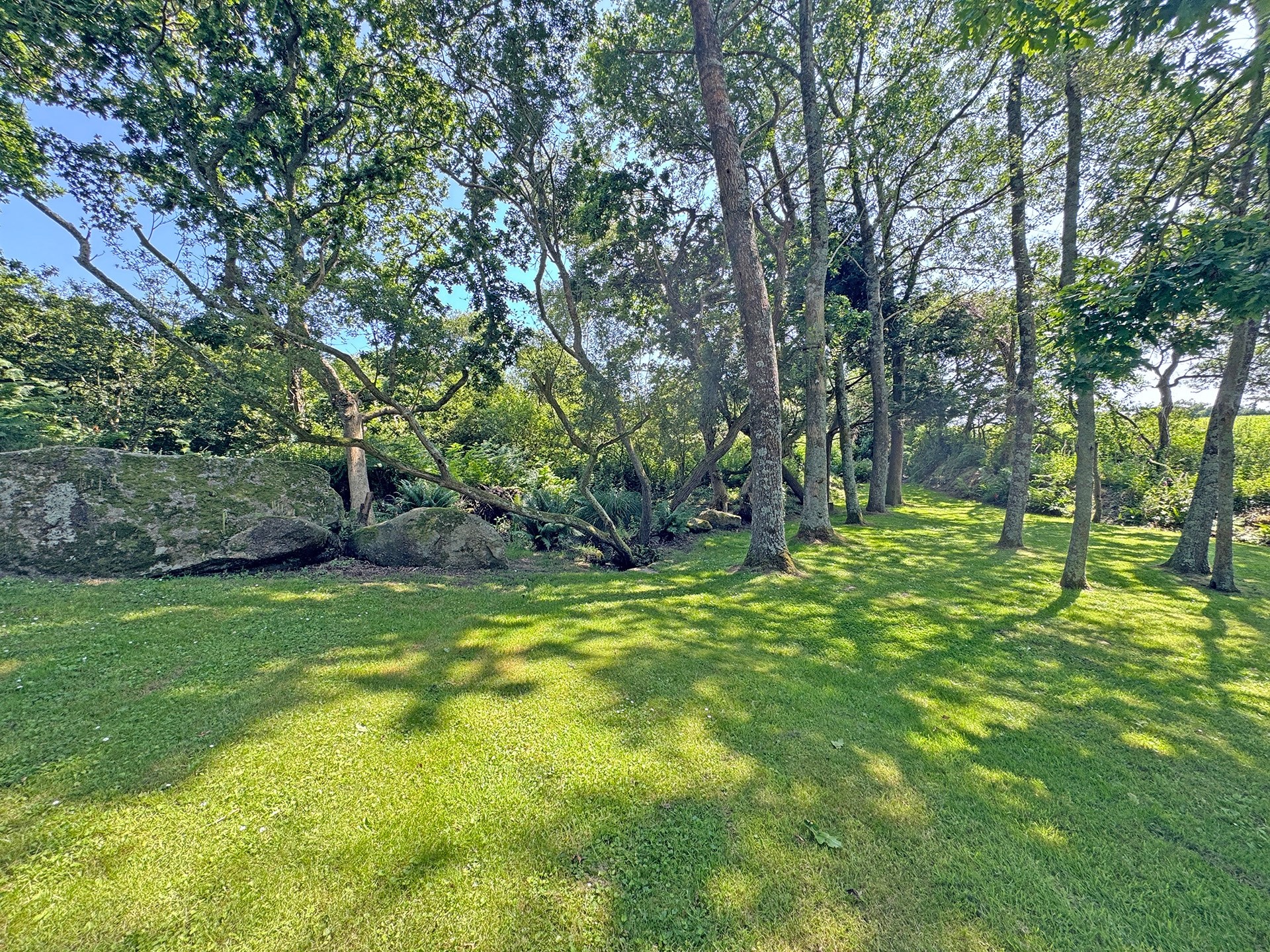  BRELES, RENOVATED STONE HOUSE IN THE CENTER OF NATURE - 物件實景