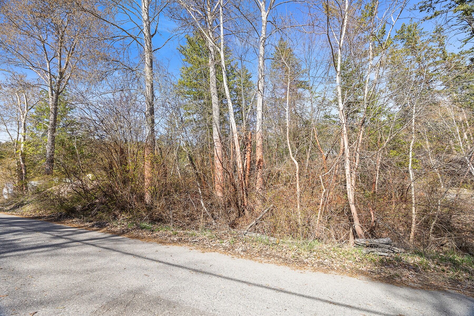  Opportunity in Vernon - 物件實景