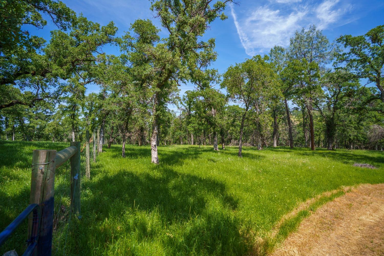 Lincoln, California, 95648, United States, ,Land,For Sale,1784125
