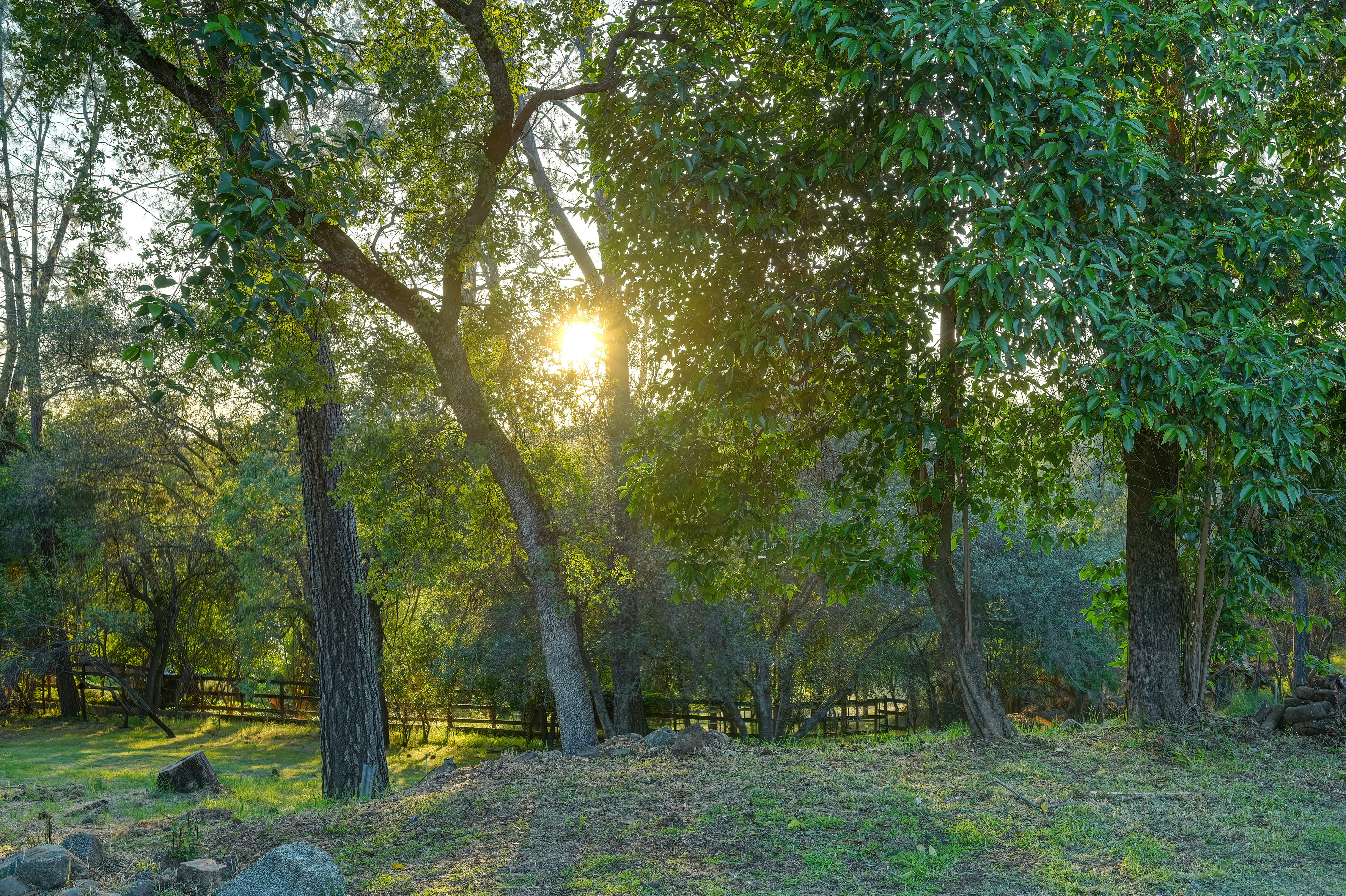  2636 Shirland Tract Road, Auburn, CA 95603 - 物件實景