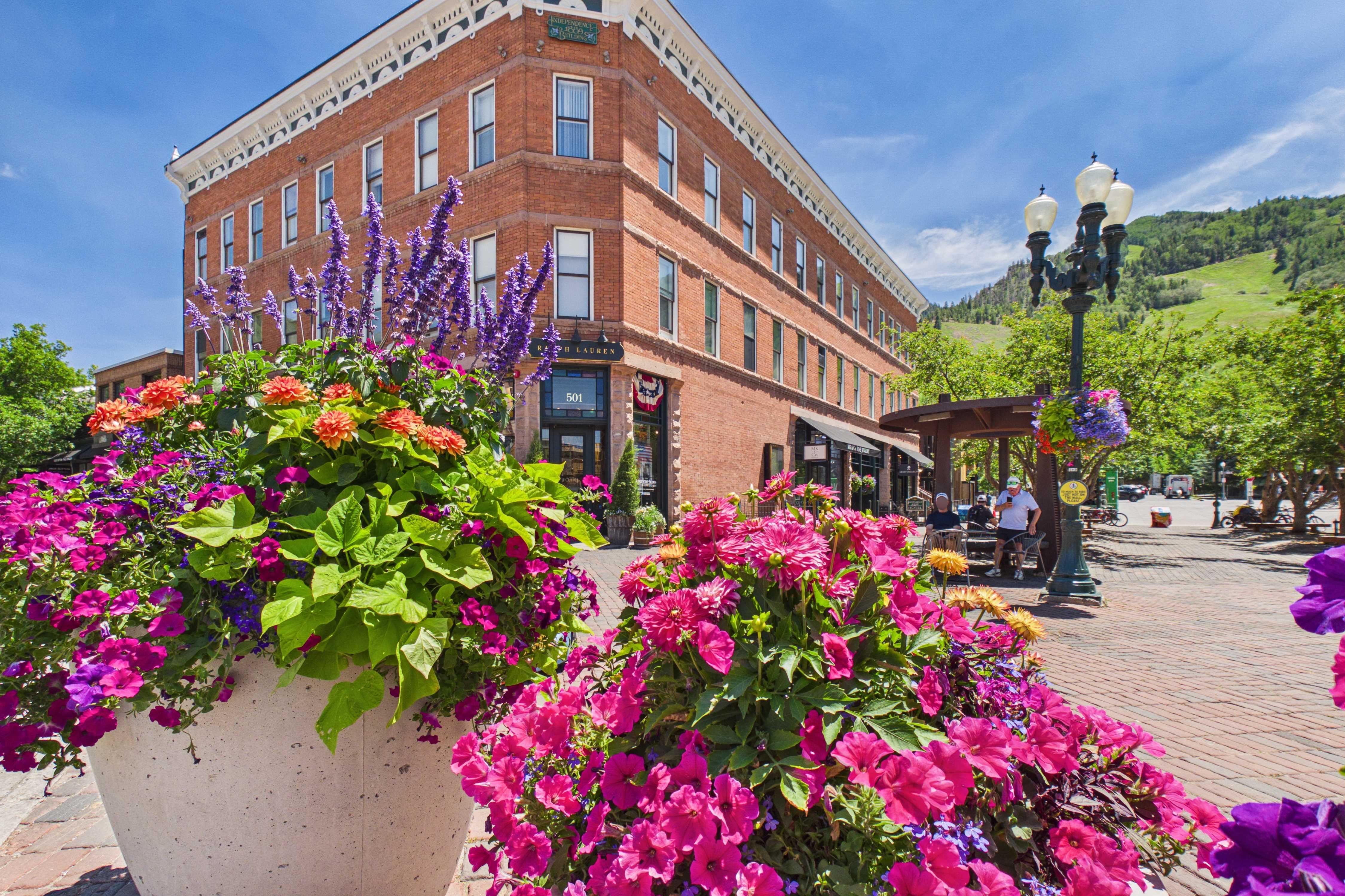  404 South Galena Street, Aspen, CO 81611 - 物件實景