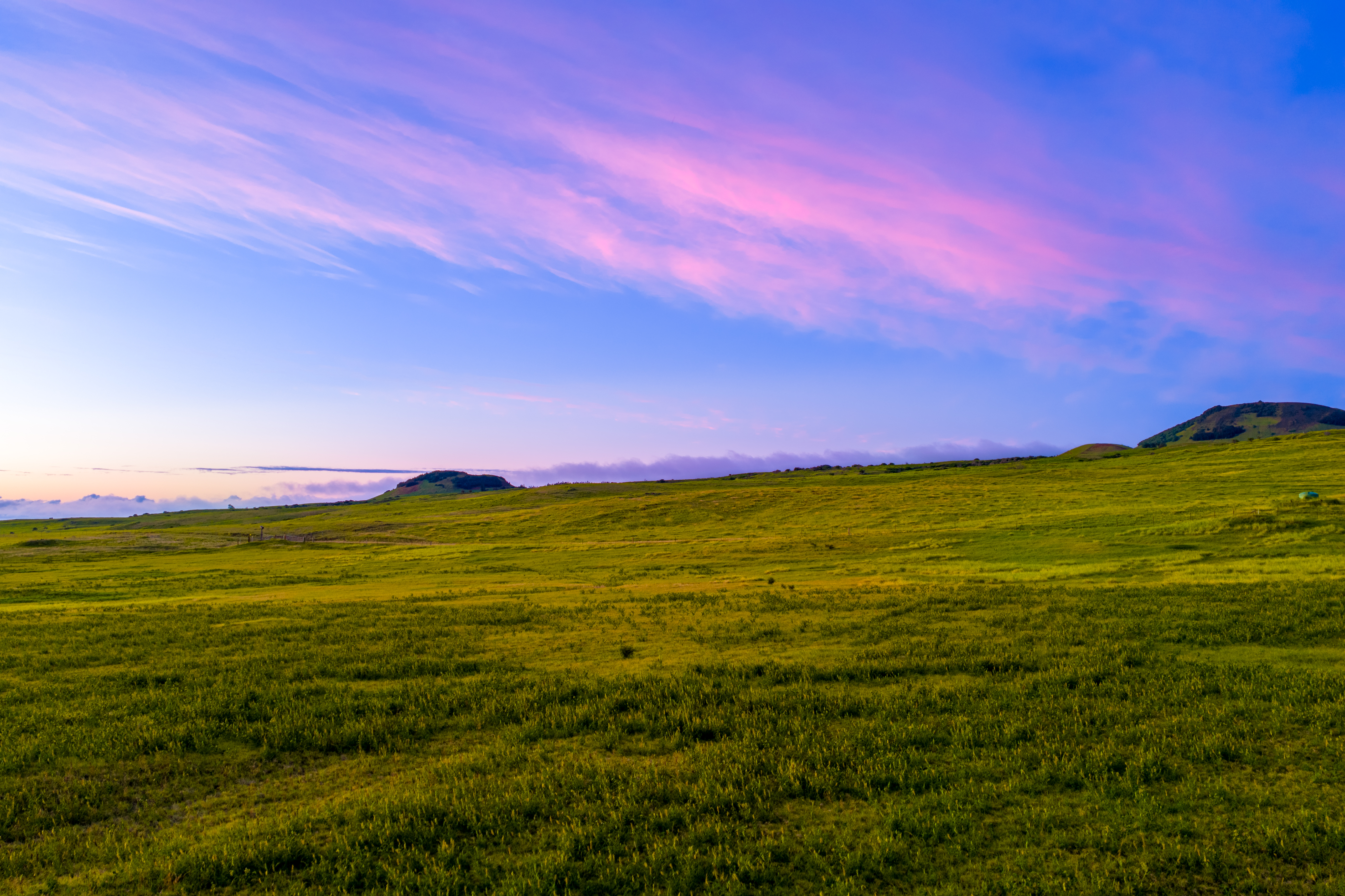  695 Ualani Pl, Kamuela, HI, 96743 - 物件實景
