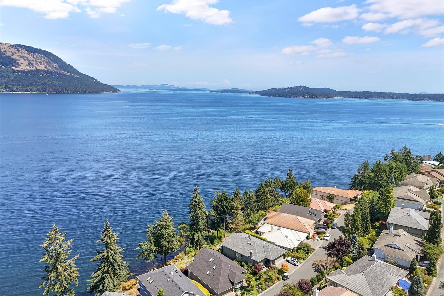  Beautiful Arbutus Ridge - 物件實景