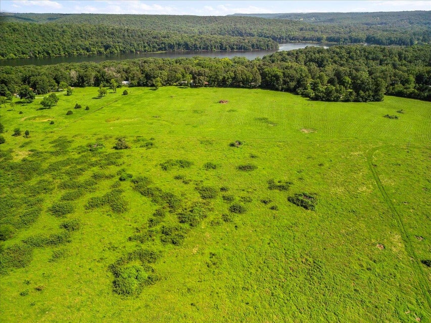 Udall, Missouri, 65766, United States, ,Land,For Sale,1984172