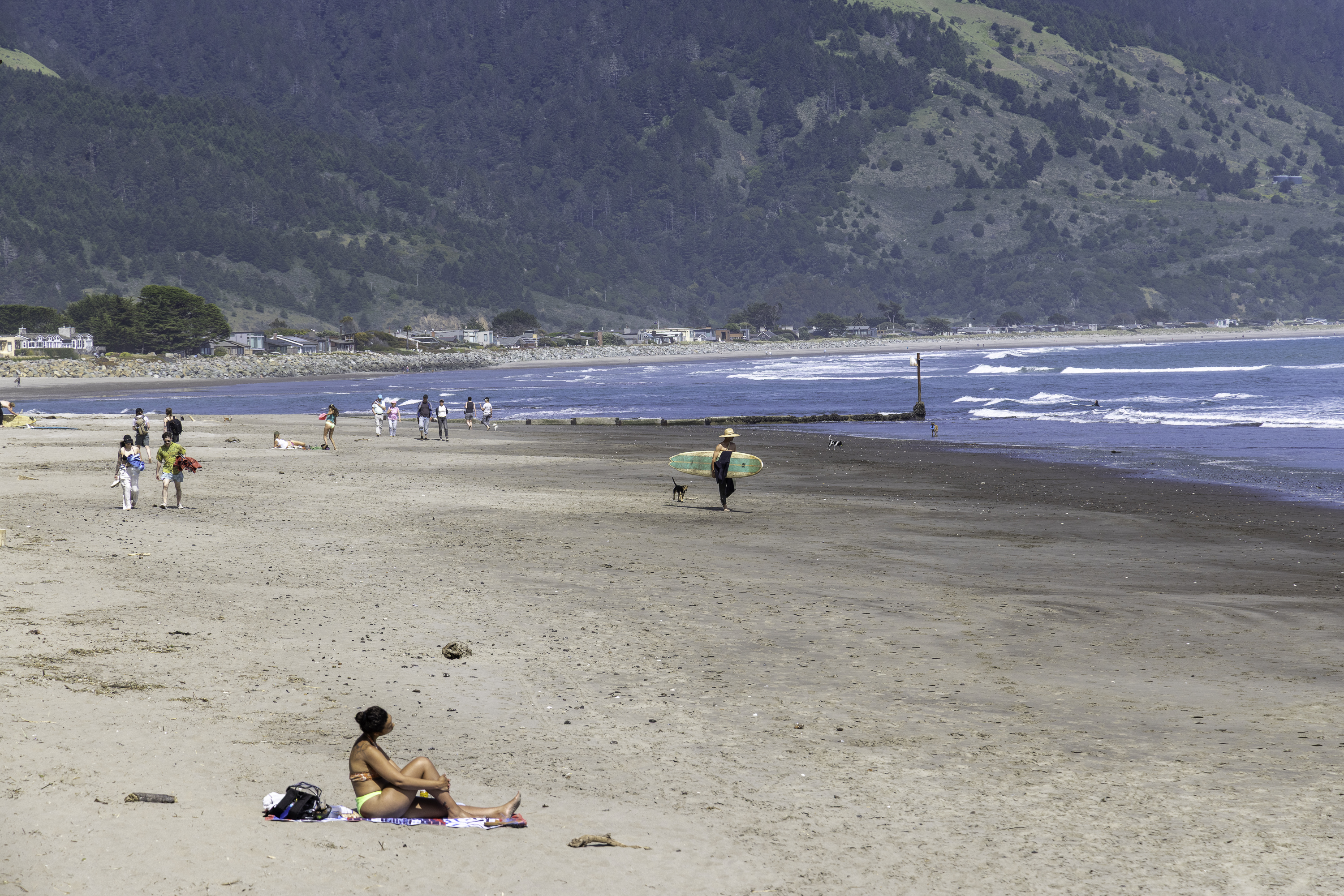  Catch the Sunshine . . . A Timeless Bolinas Cottage by the Ocean - 物件實景