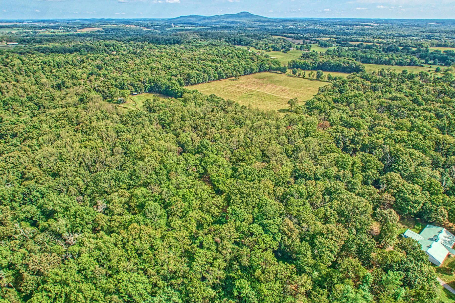  43470 Evans Pond Road, Leesburg, VA, 20176 - 物件實景
