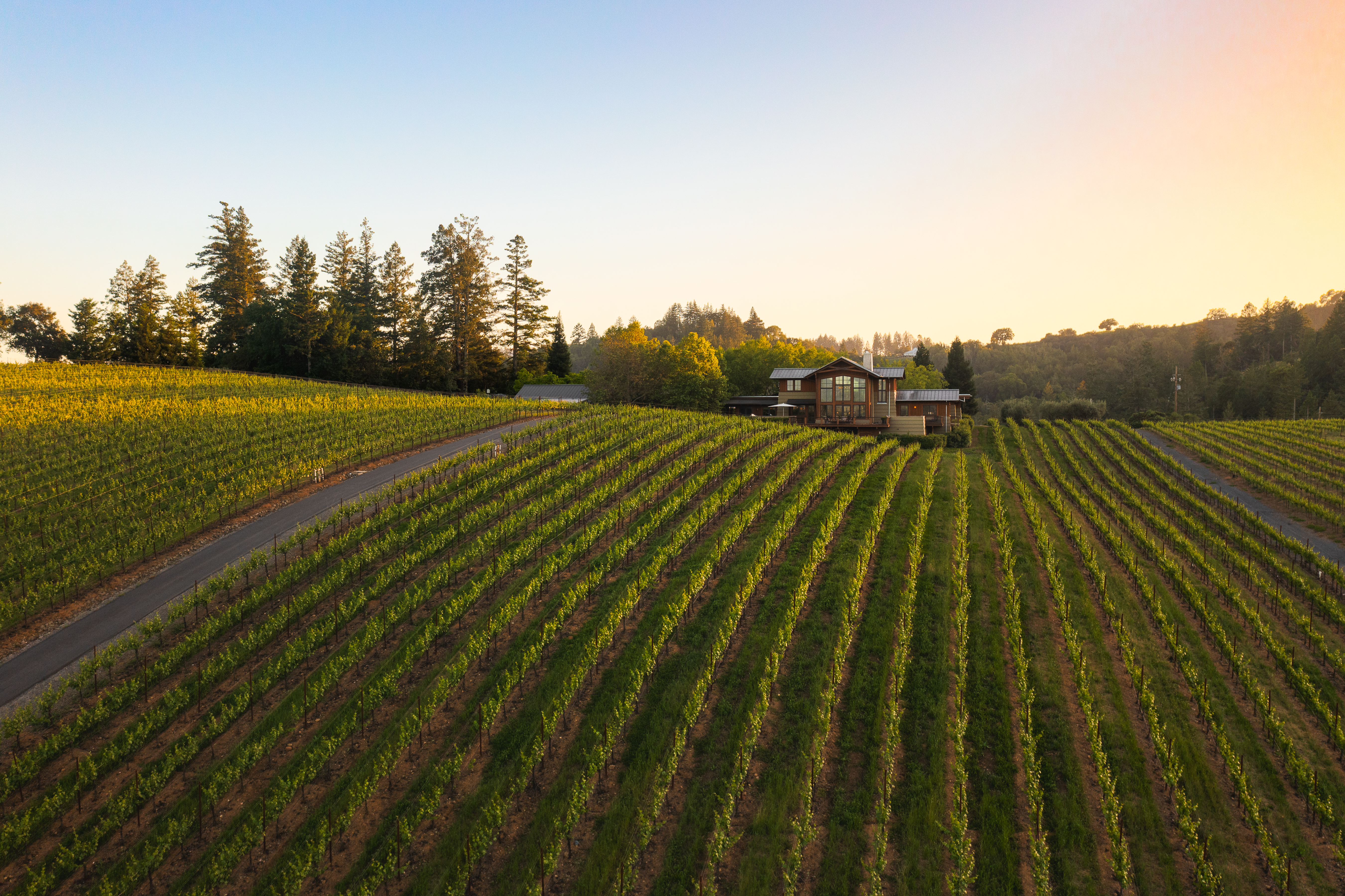  Healdsburg Architectural Estate - 物件實景