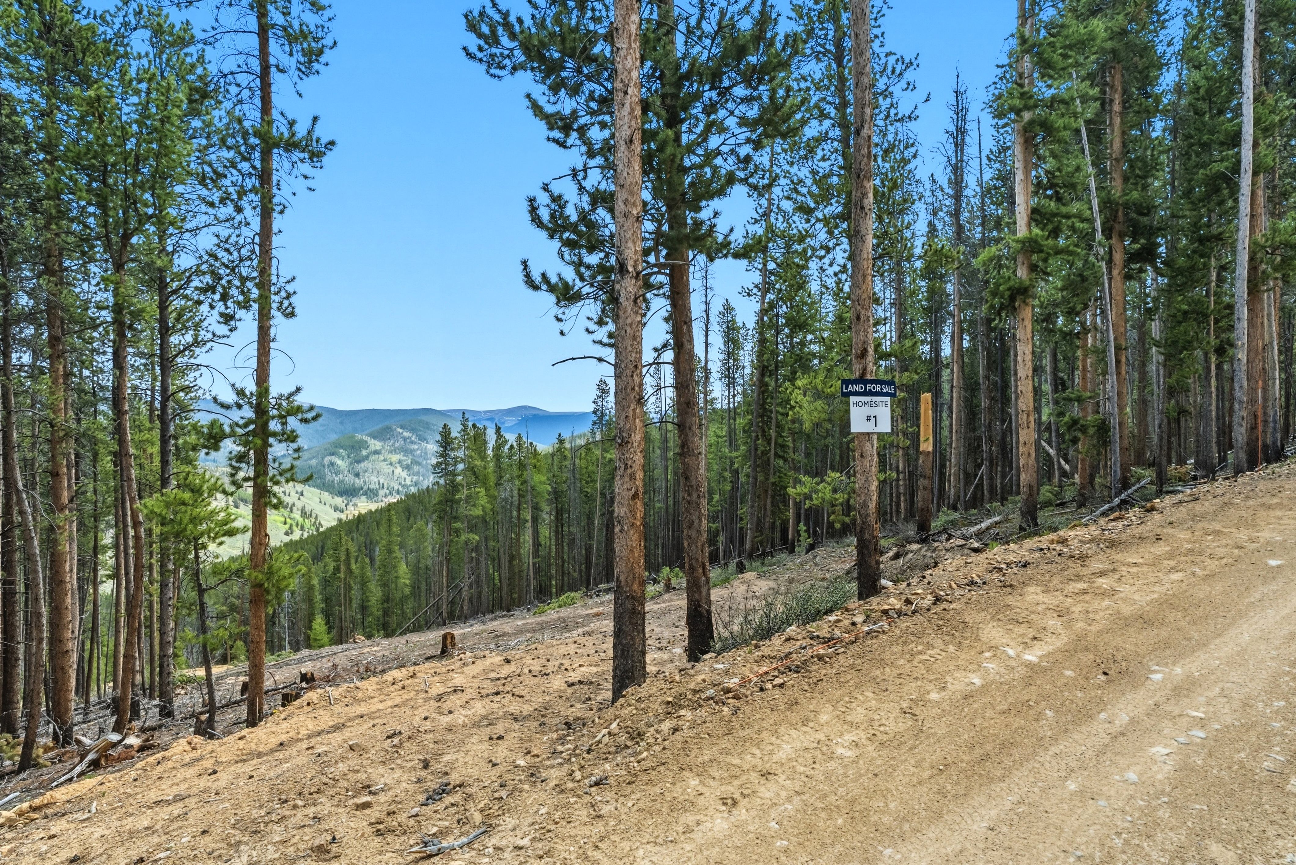  653 Summit Gulch Road, Breckenridge, CO, 80424 - 物件實景