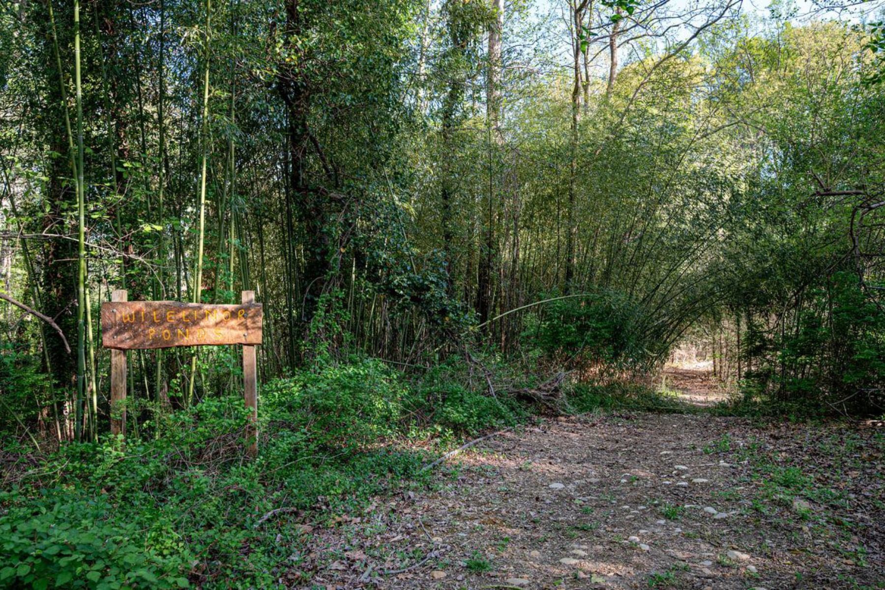  12 Willow Spring Drive, Edgewater, MD, 21037 - 物件實景