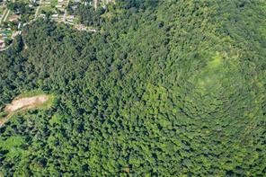 Penn Twp - BUT, Pennsylvania, 16002, United States, ,Residential,For Sale,1794987