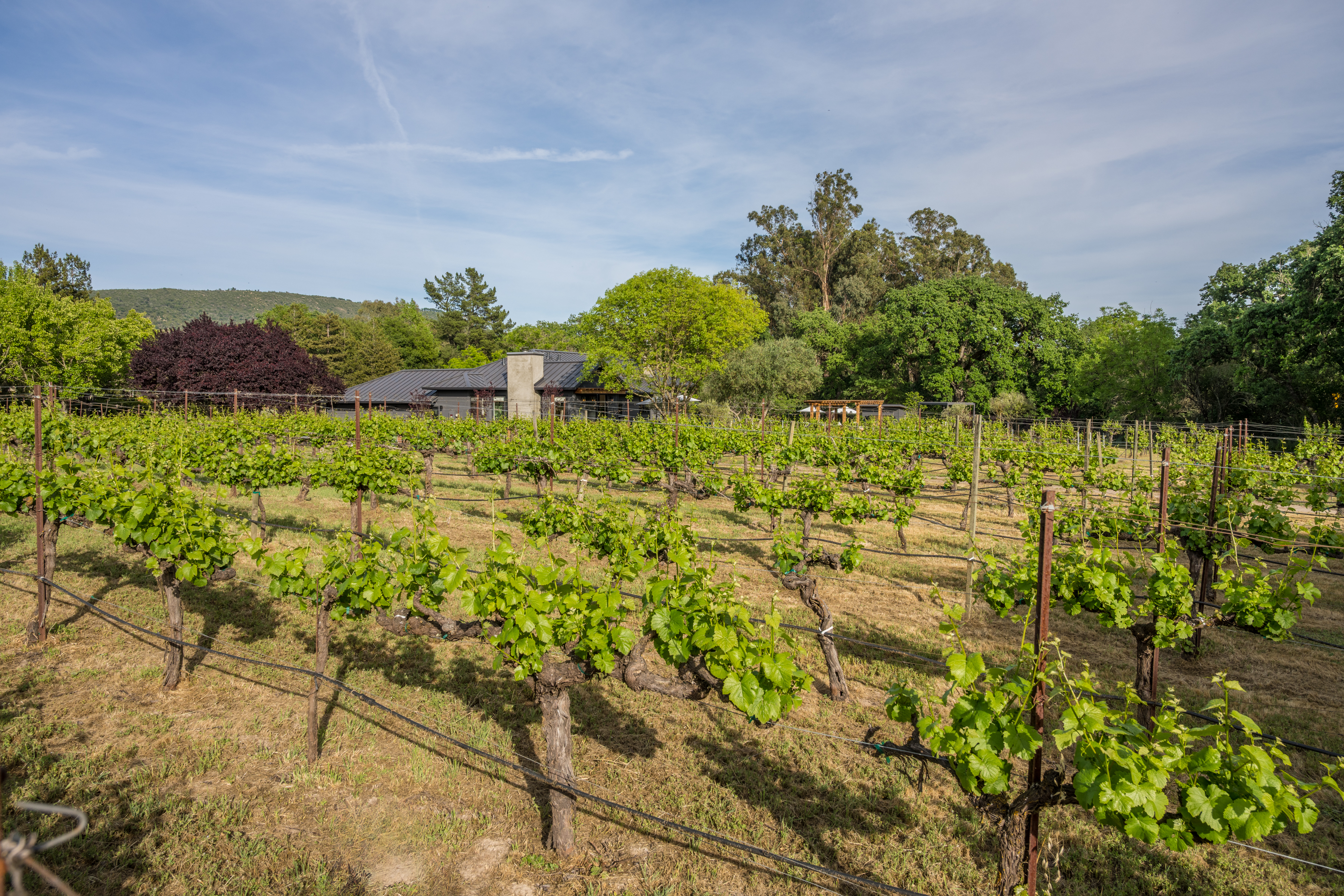  20760 Hyde Road - 物件實景