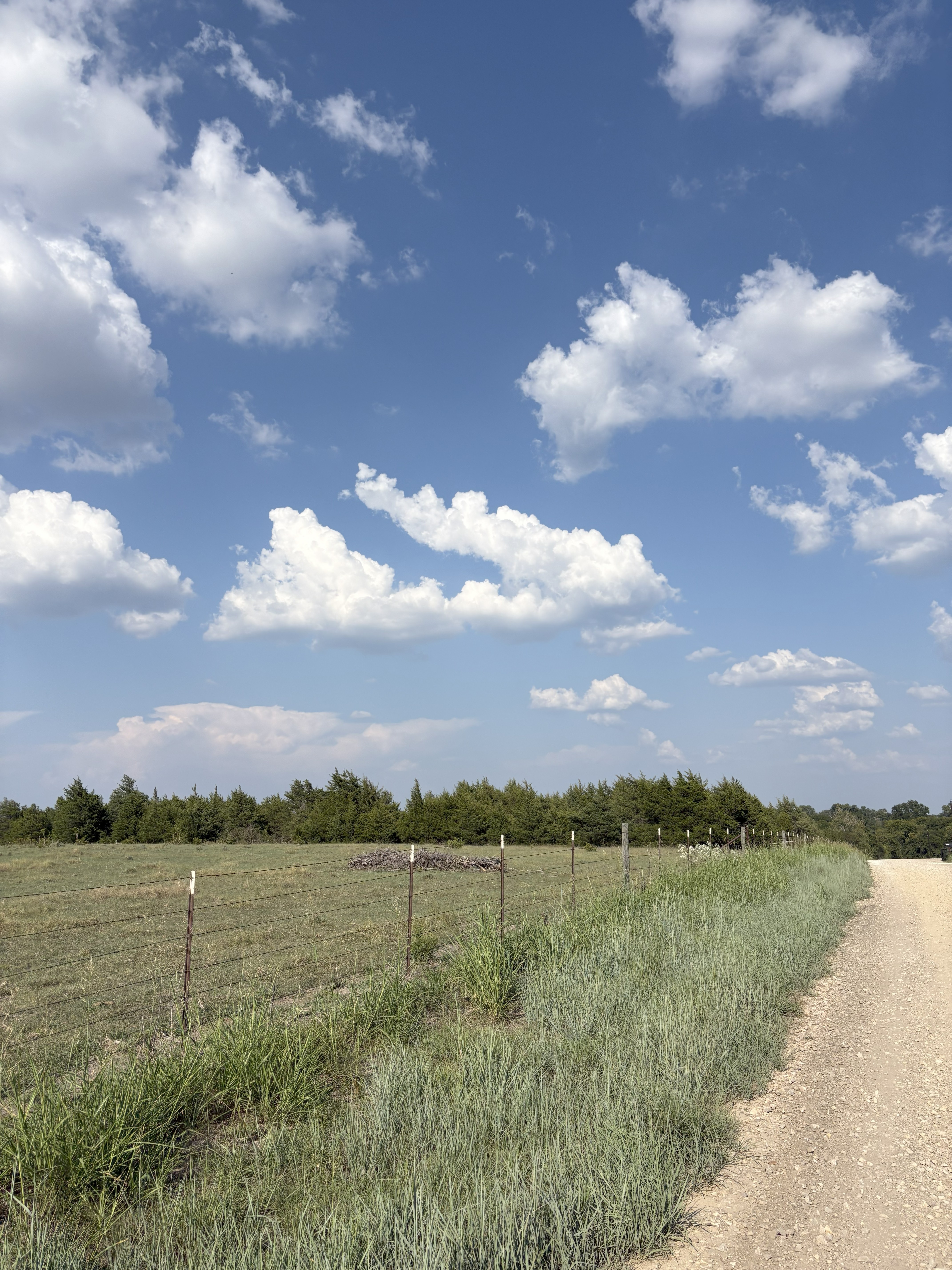 Roxton, Texas, 75477, United States, ,Land,For Sale,1979032