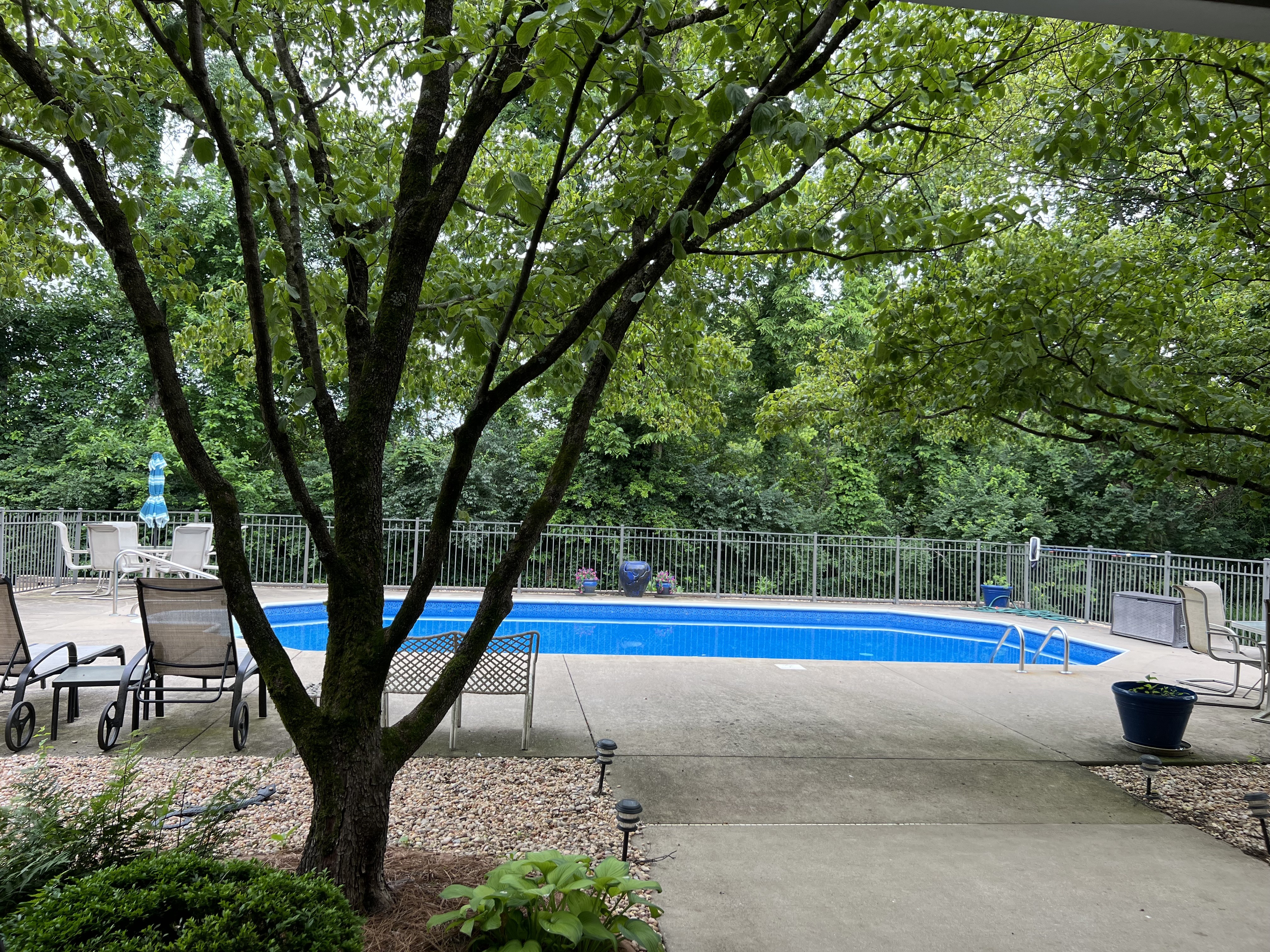 Frankfort, Kentucky, 40601, United States, 5 Bedrooms Bedrooms, ,4 BathroomsBathrooms,Residential,For Sale,1983551