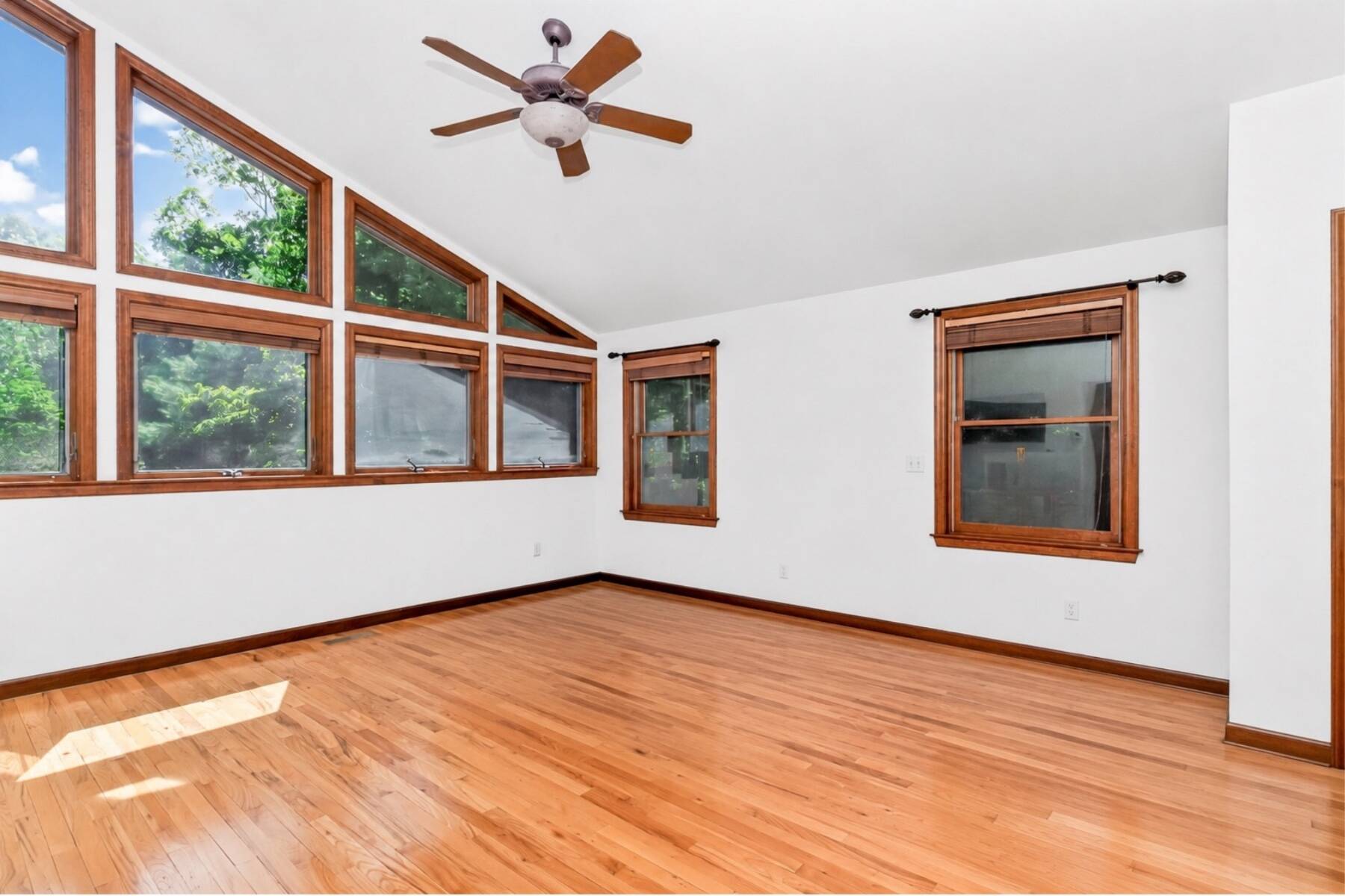  Light-Filled Contemporary in Clearwater - 物件實景