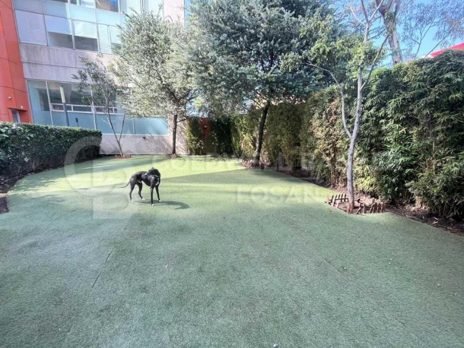 Carretera M?xico Toluca, Cuajimalpa de Morelos, Ciudad de México, 05348, Mexico, 1 Bedroom Bedrooms, ,1 BathroomBathrooms,Residential,For Sale,Carretera M?xico Toluca,1672359