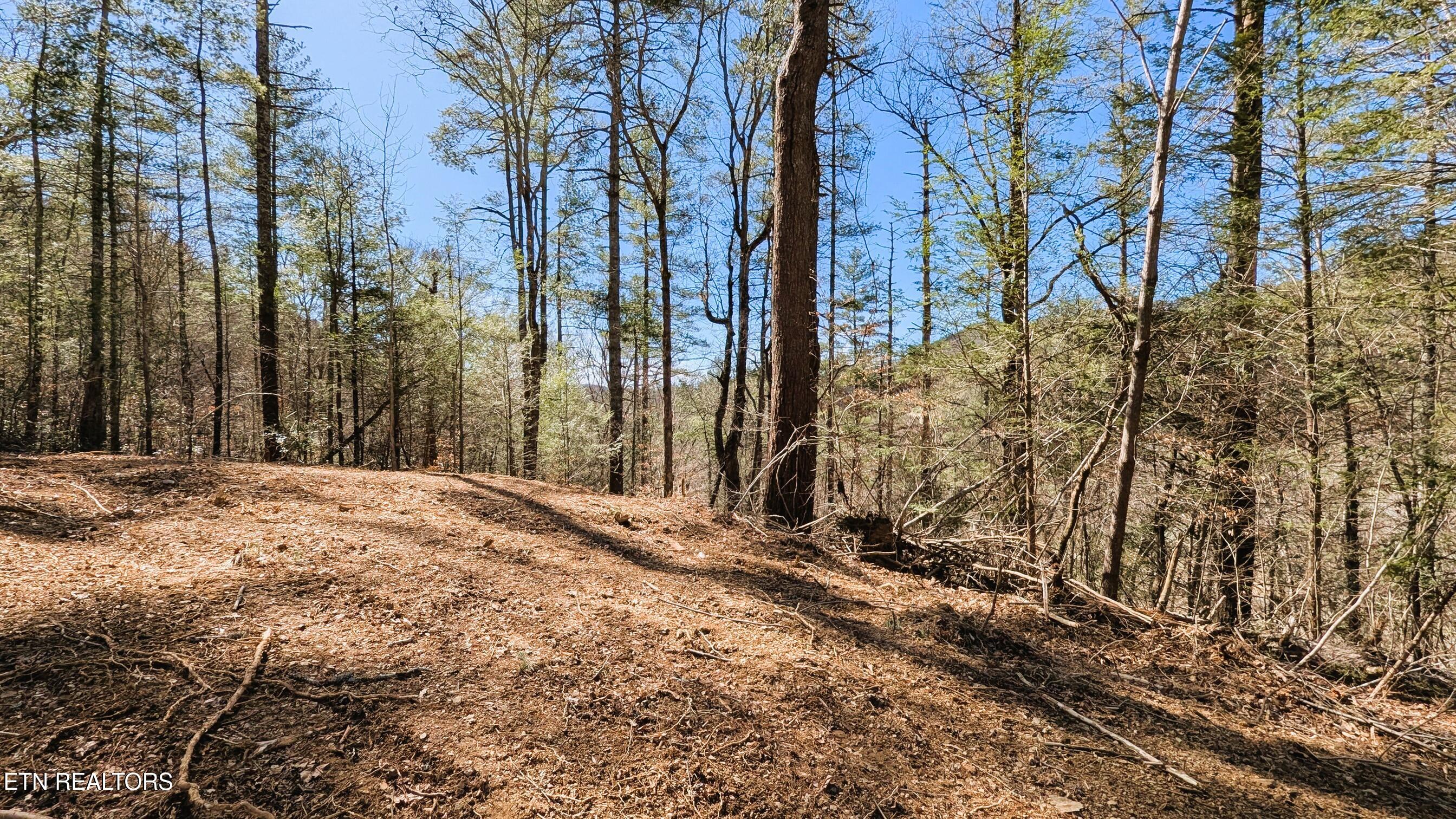Townsend, Tennessee, 37882, United States, ,Land,For Sale,1978973