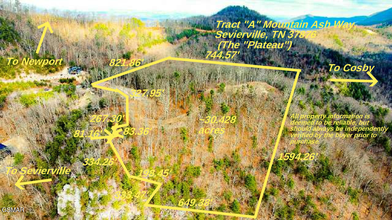 Sevierville, Tennessee, 37876, United States, ,Land,For Sale,2008093
