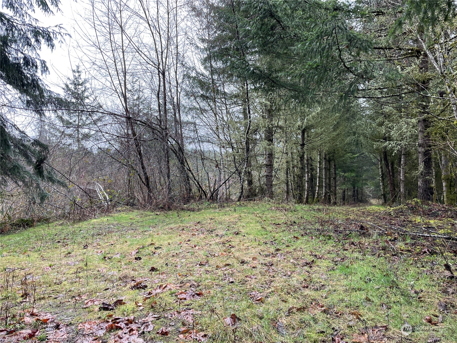 0 Fallert Road, Kalama, Washington, 98625, United States, ,Land,For Sale,0 Fallert Road,1273199