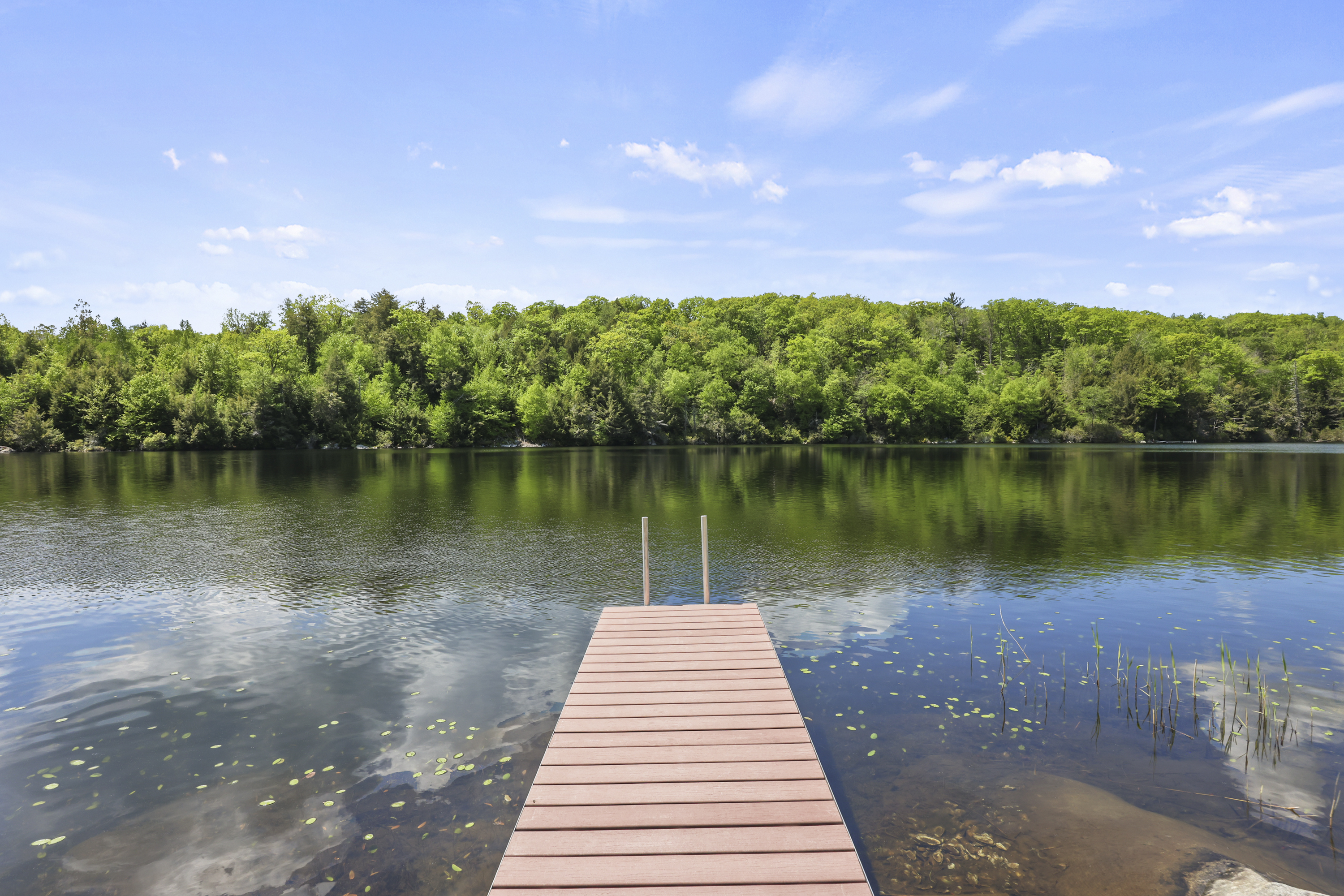  Exceptional Waterfront Retreat on Tranquil Hayes Pond - 物件實景
