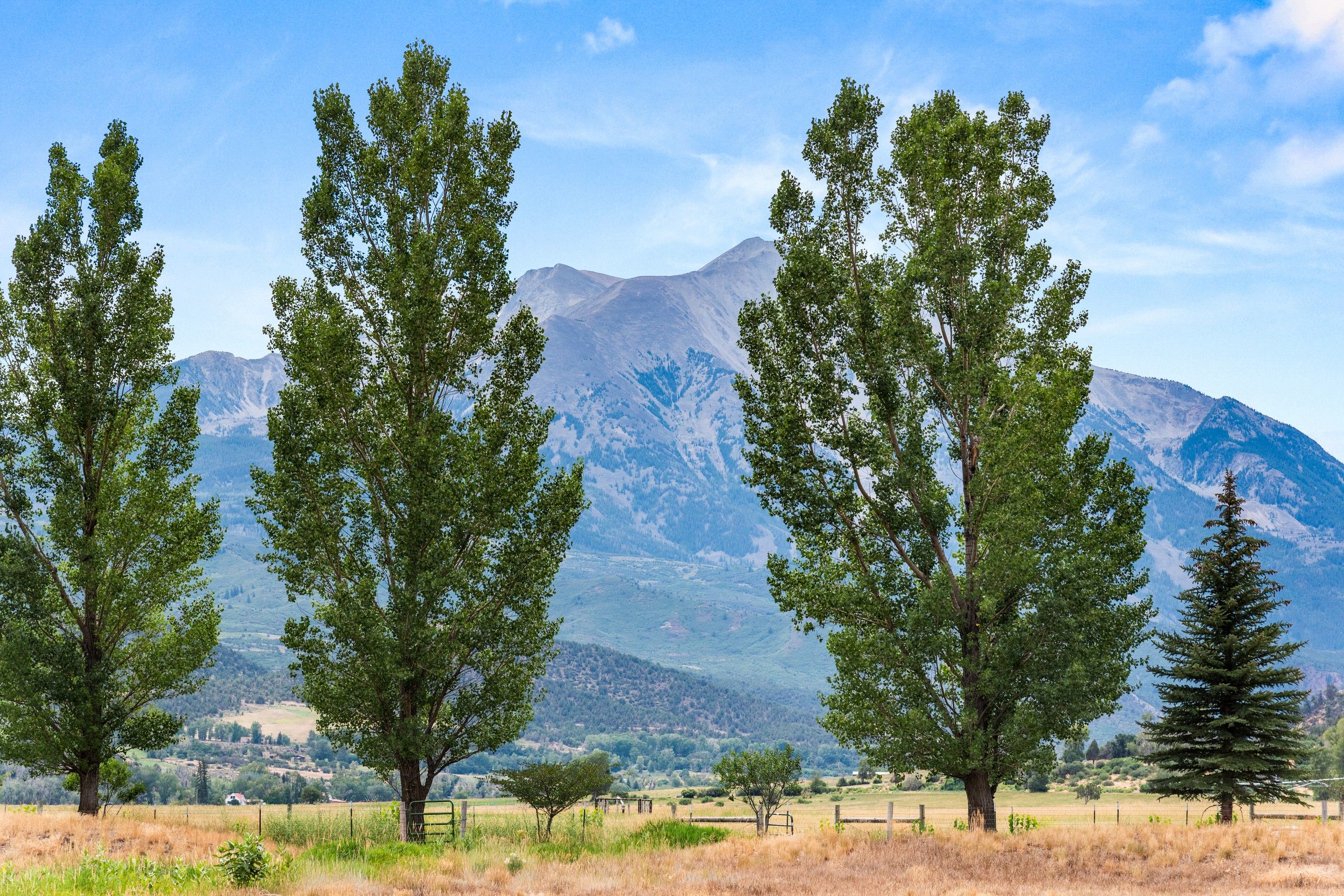  Modern Mountain Living Framed by Mt. Sopris - 物件實景