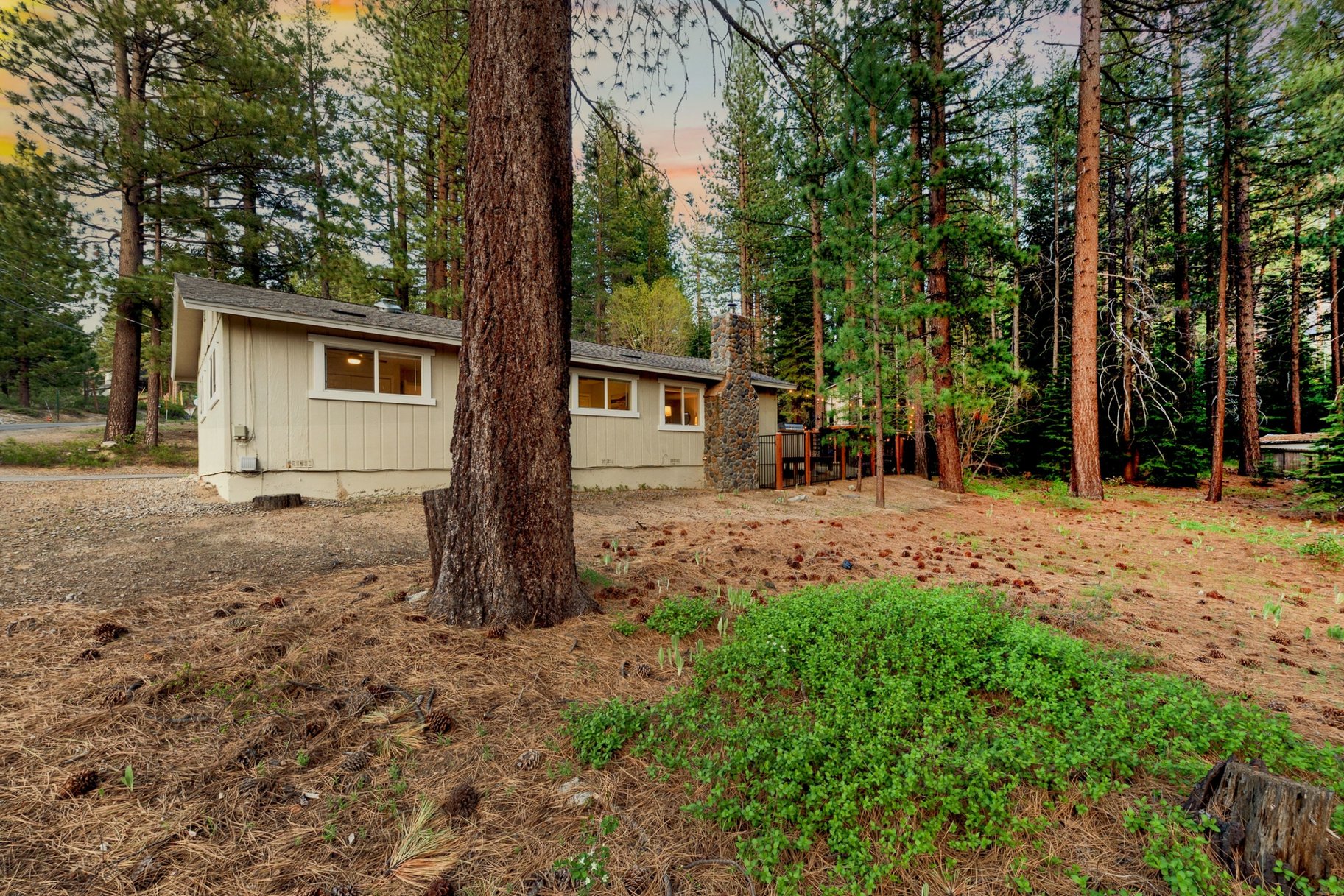  Move-In Ready 4 Bedroom Beauty  2022 Remodel  Fenced Yard, Forest Setting - 物件實景