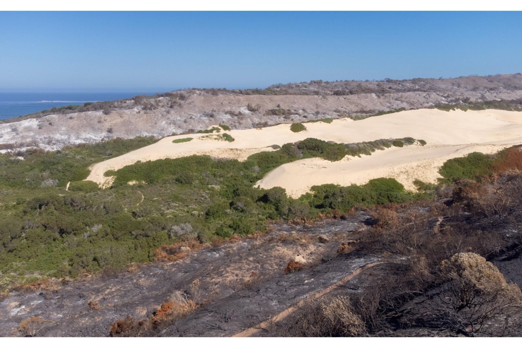  OYSTER BAY DEVELOPMENT LAND FOR SALE - 物件實景