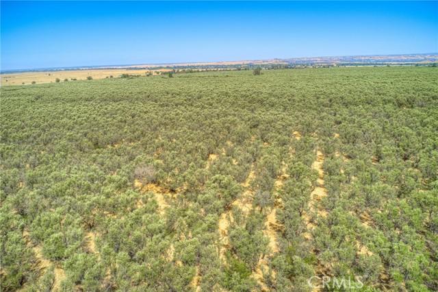 Oroville, California, 95965, United States, ,Land,For Sale,1978815