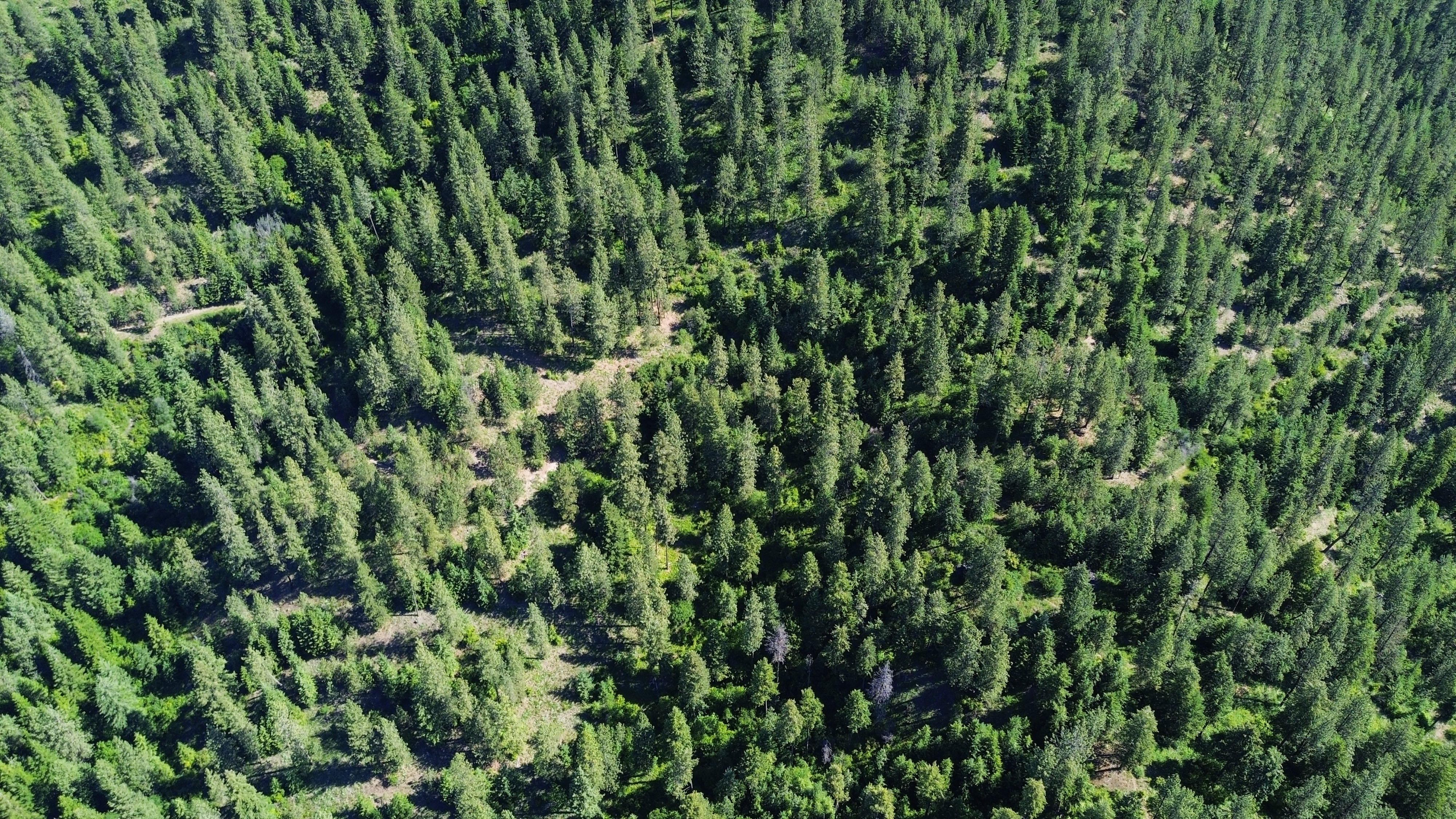 Loon Lake, Washington, 99148, United States, ,Residential,For Sale,1922836