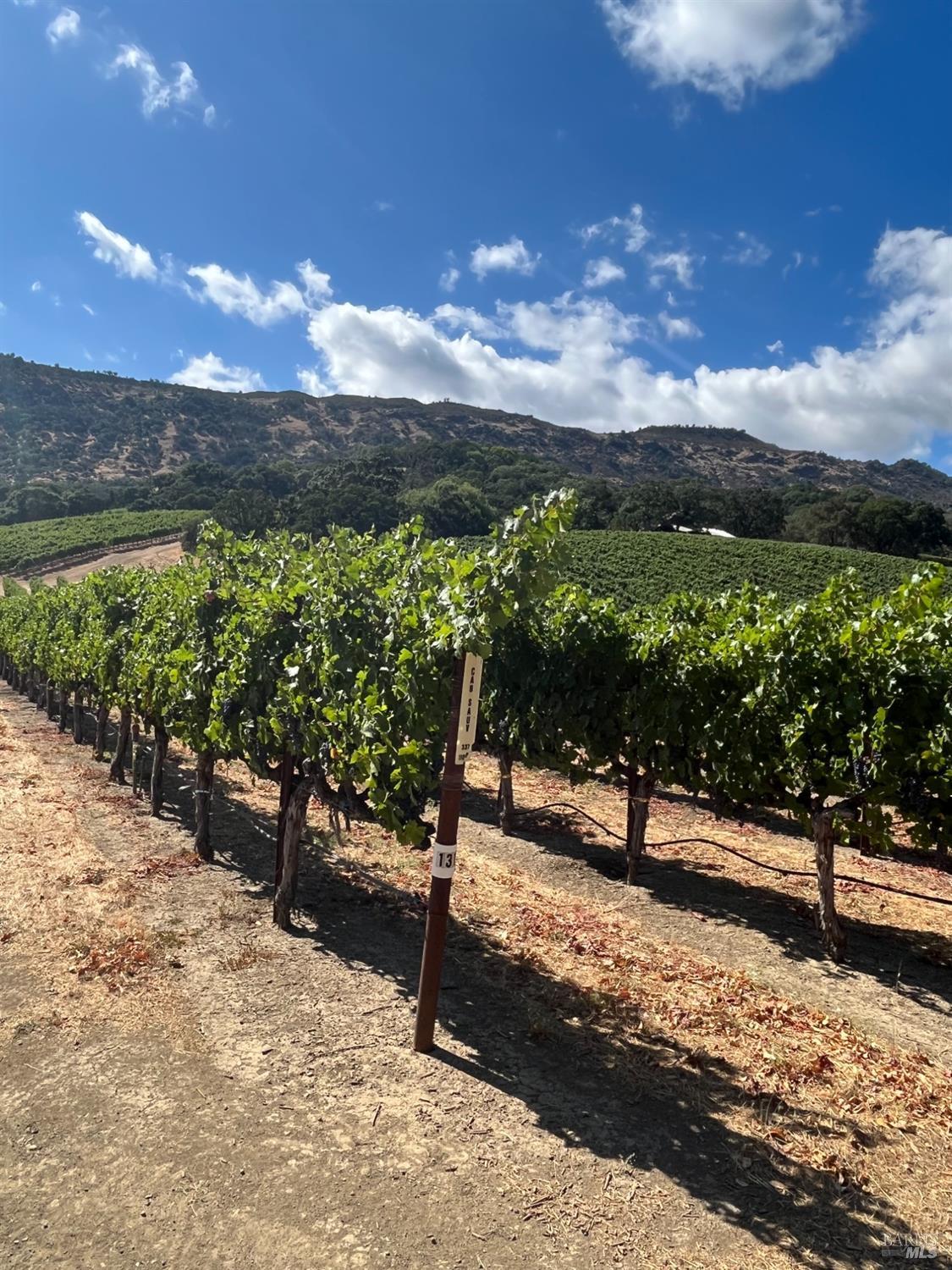 Napa, California, 94558, United States, 3 Bedrooms Bedrooms, ,3 BathroomsBathrooms,Residential,For Sale,1991897