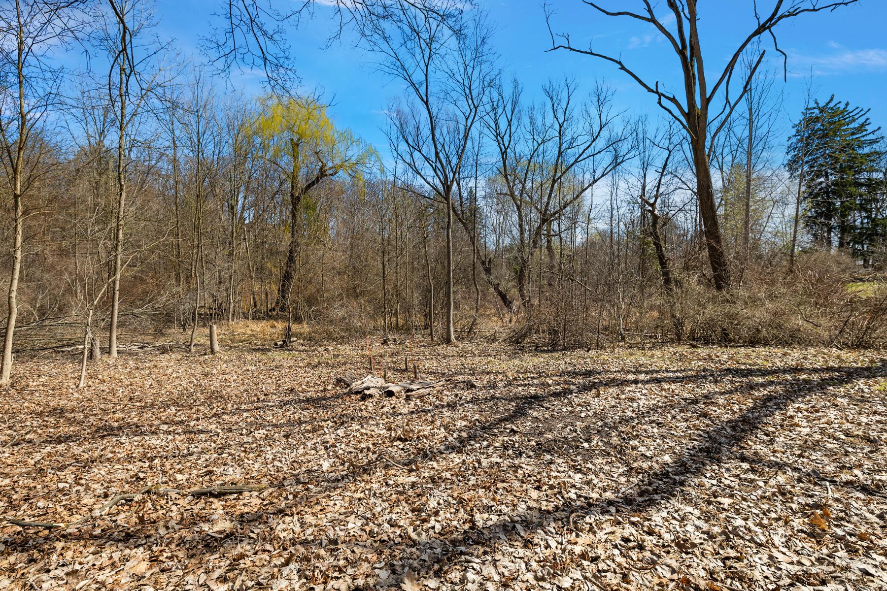  Bloomfield Hills - 物件實景