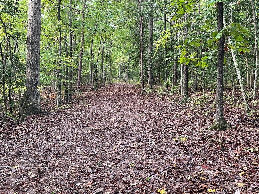 1105 Stewarts Road, Lanexa, Virginia, 23089, United States, ,Land,For Sale,1105 Stewarts Road,1632390