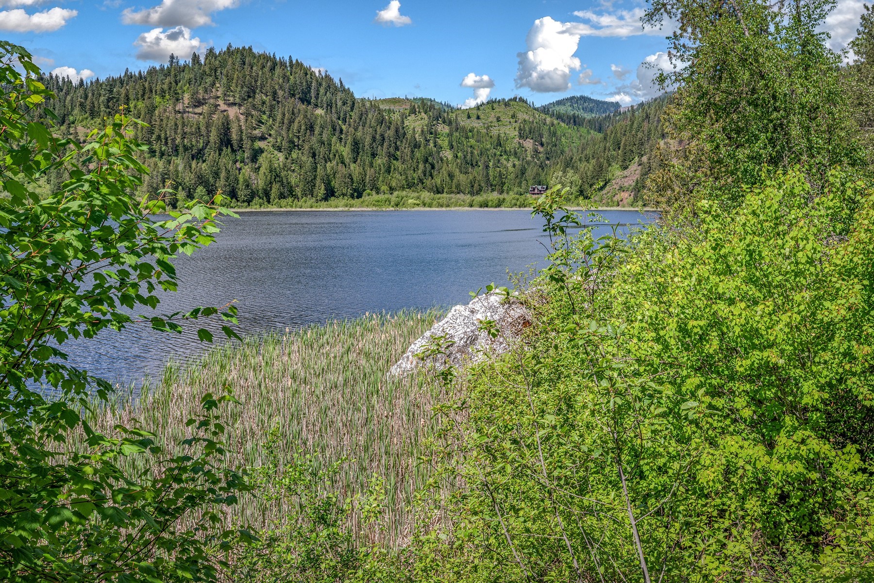  Lake Retreat on Private Acreage - 物件實景