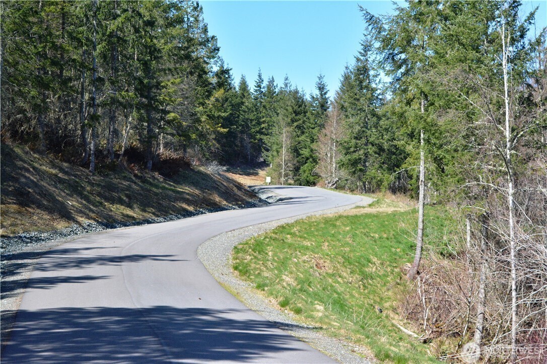 Bellingham, Washington, 98226, United States, ,Land,For Sale,1848281