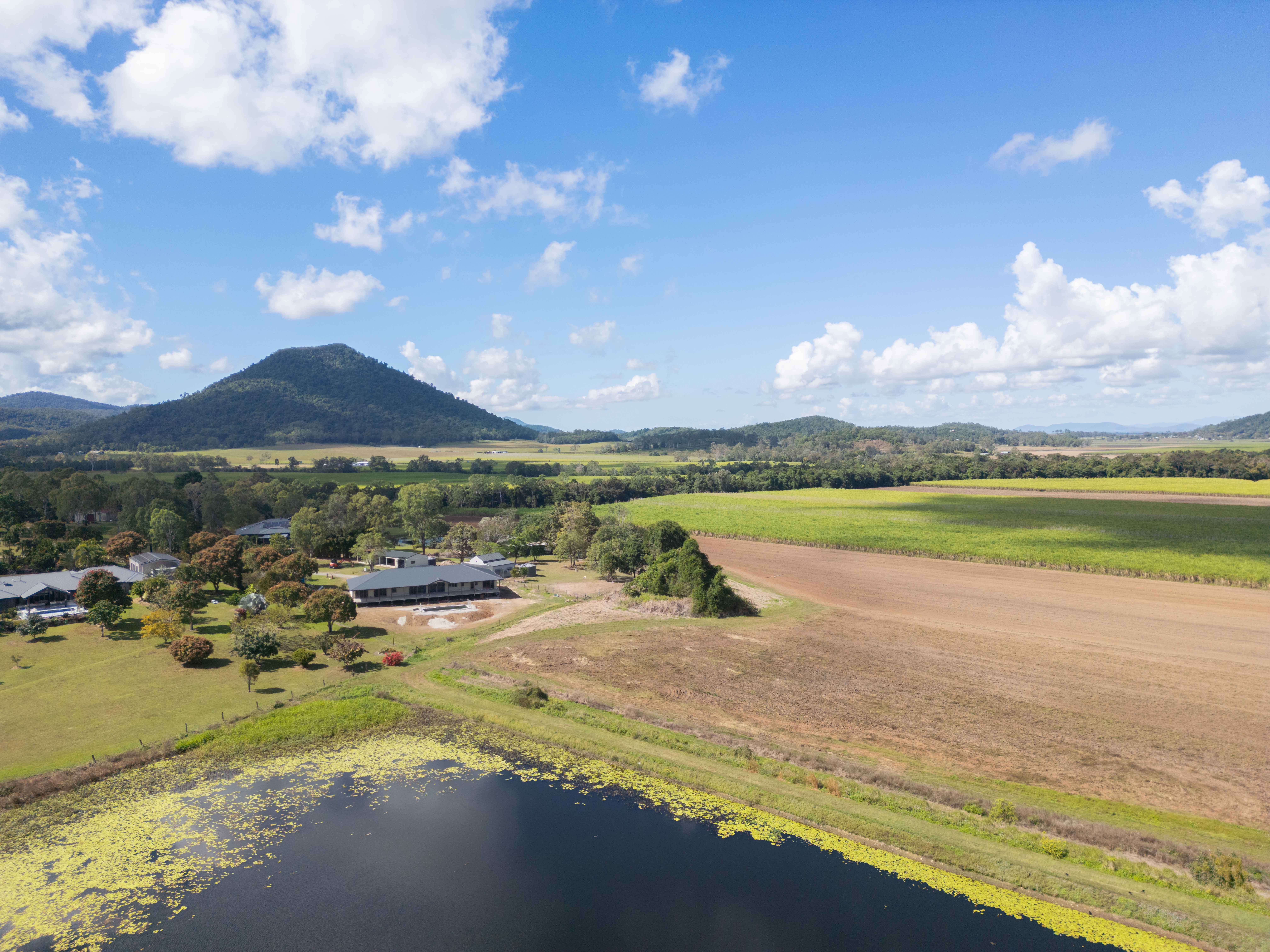  77A Windemere Drive, Strathdickie - 物件實景