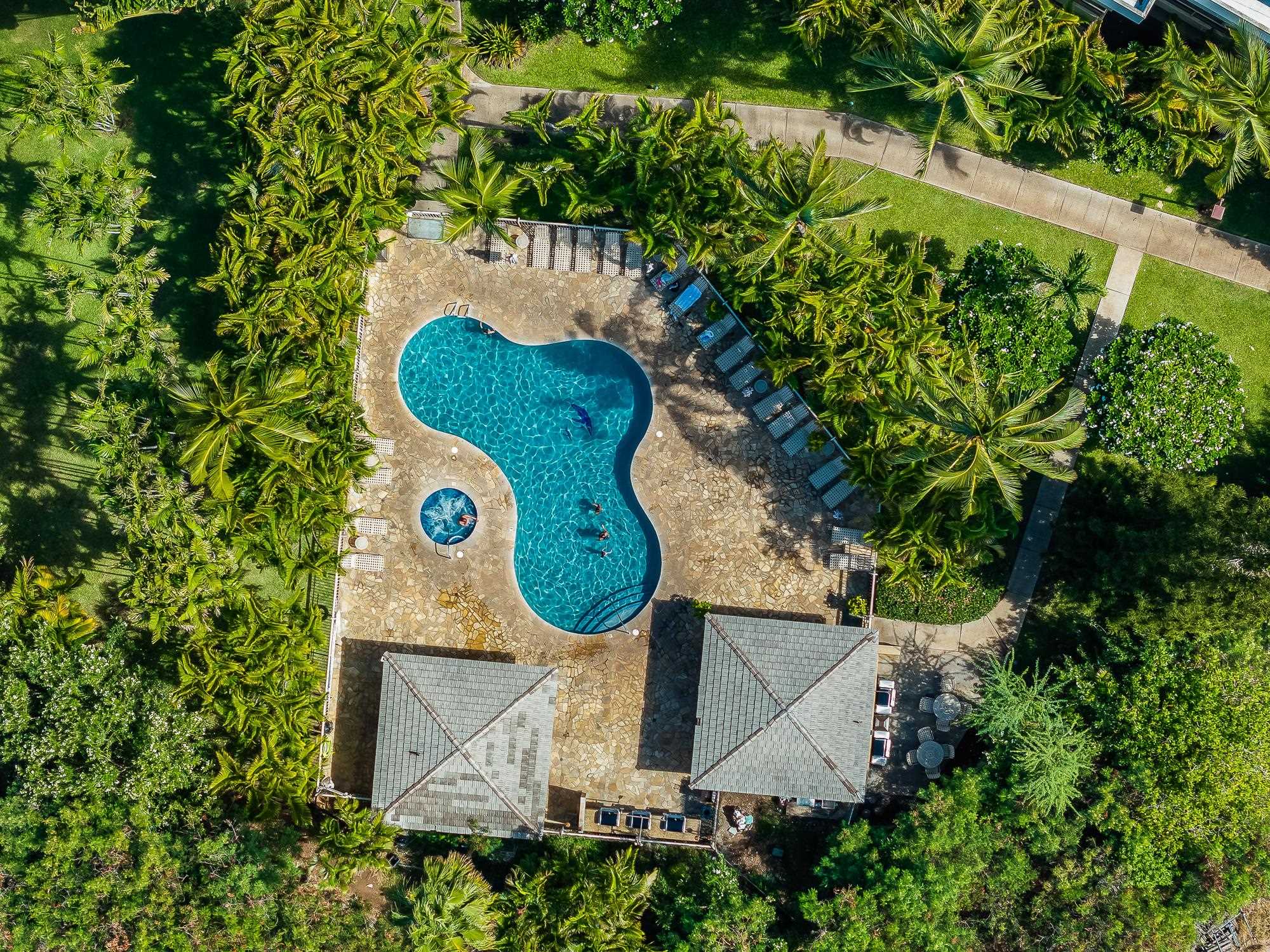 Kihei, Hawaii, 96753, United States, 1 Bedroom Bedrooms, ,2 BathroomsBathrooms,Residential,For Sale,1794865