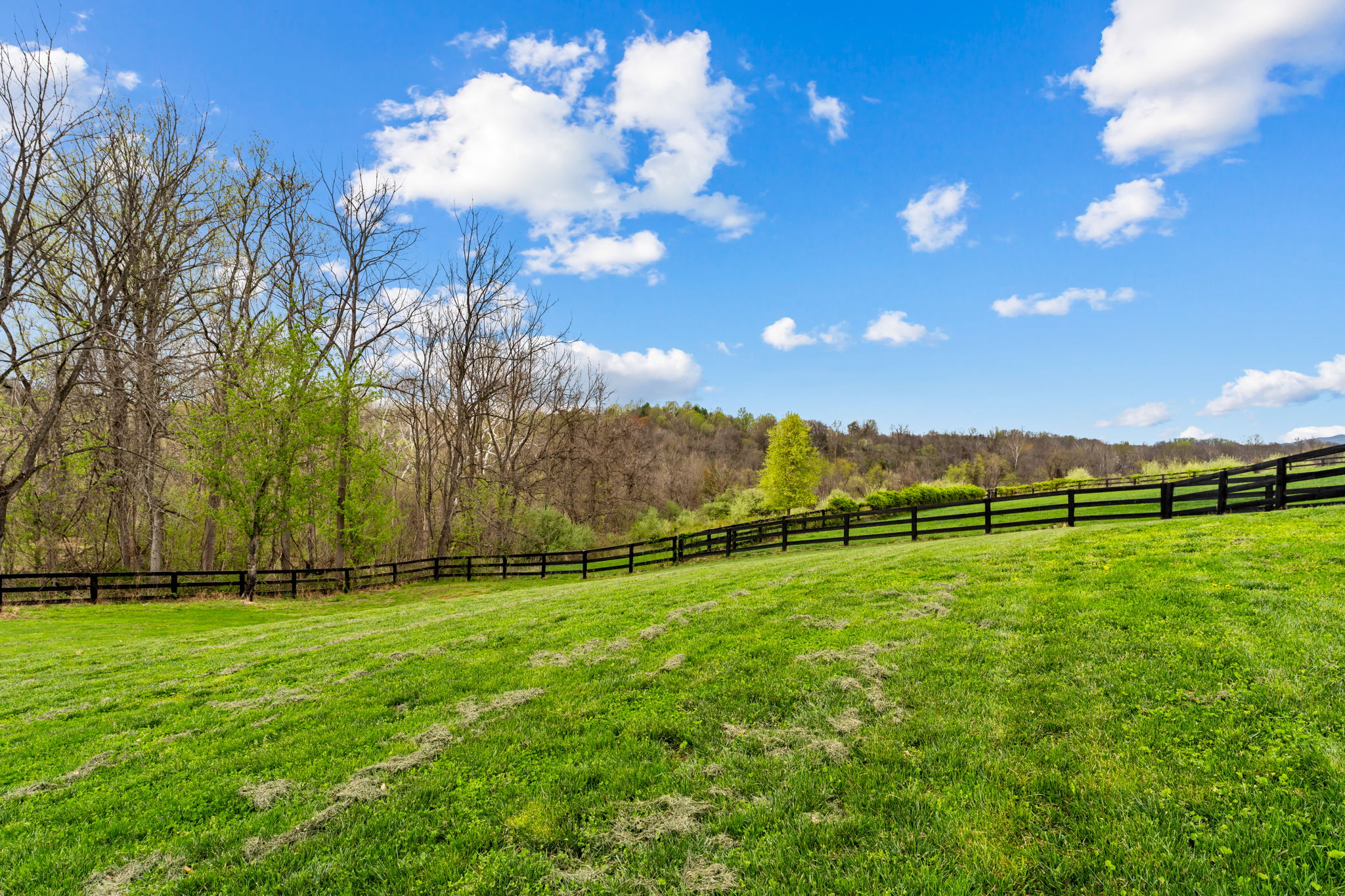  14039 Amys Meadow Court, Leesburg, VA, 20176 - 物件實景