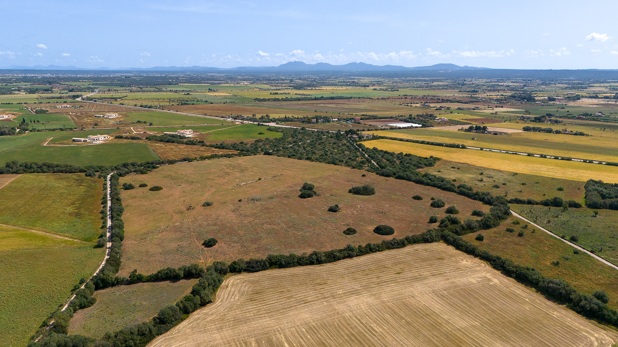  Spacious building plot near Sa Rapita - 物件實景
