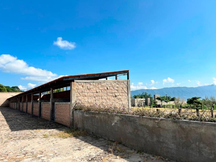 Camino San Martin, Jocotepec, Jalisco, 45800, Mexico, 1 Bedroom Bedrooms, ,Residential,For Sale,Camino San Martin,1671901